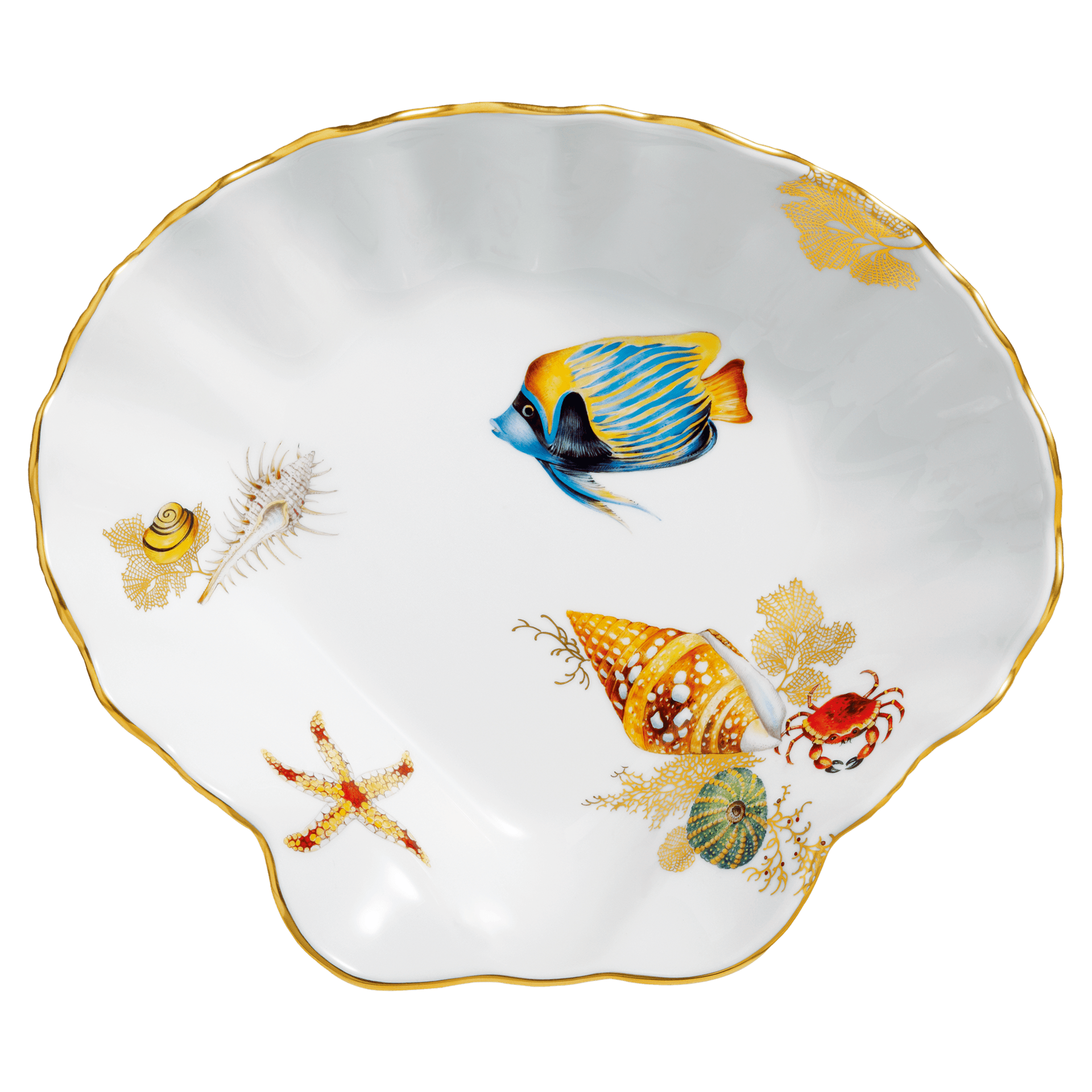 Beilagenschale, mittel, Meeresfauna, L 22 cm | Limitierte Meisterwerke - Neuer Meissener Ausschnitt 266484 - 00262 - Meissen Weimar