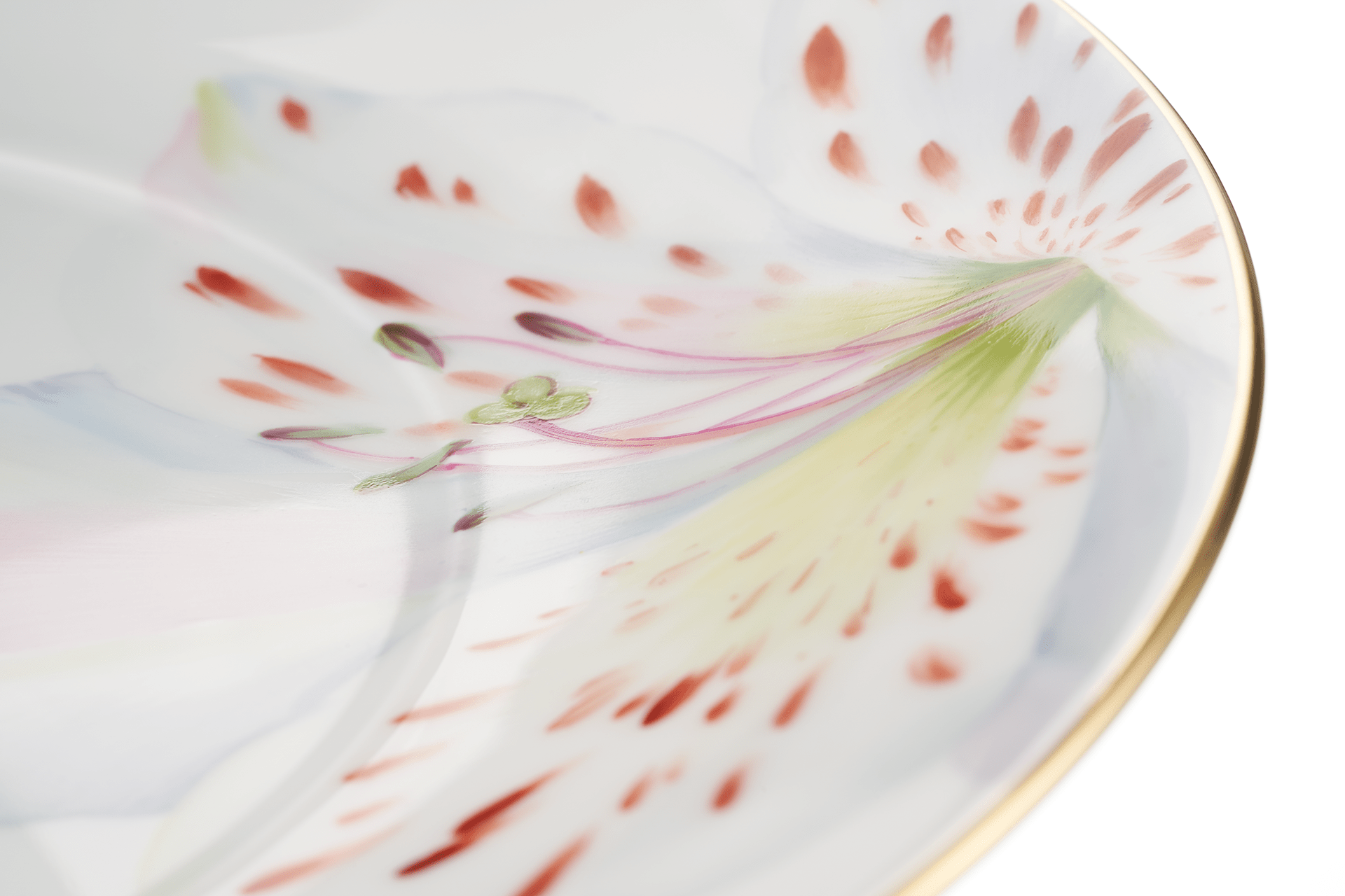 Dinner Teller, Tigerlily, Ø 24 cm | Meissen Cosmopolitan 61b159 - 37475 - Meissen Weimar