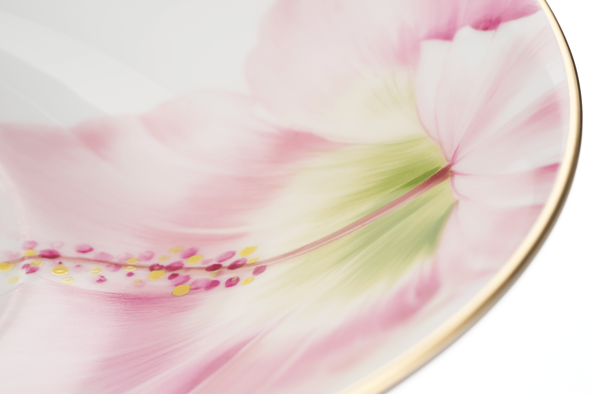 Gourmetteller Giant Bloom Hibiskus Goldrand, Ø 26 cm | Meissen Cosmopolitan 61b163 - 37489 - Meissen Weimar