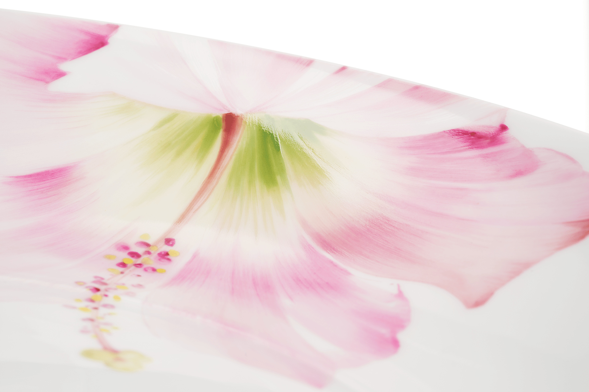 Gourmetteller, tief, "Giant Bloom", Hibiskus, Ø 26 cm | Meissen Cosmopolitan 61a163 - 37489 - Meissen Weimar