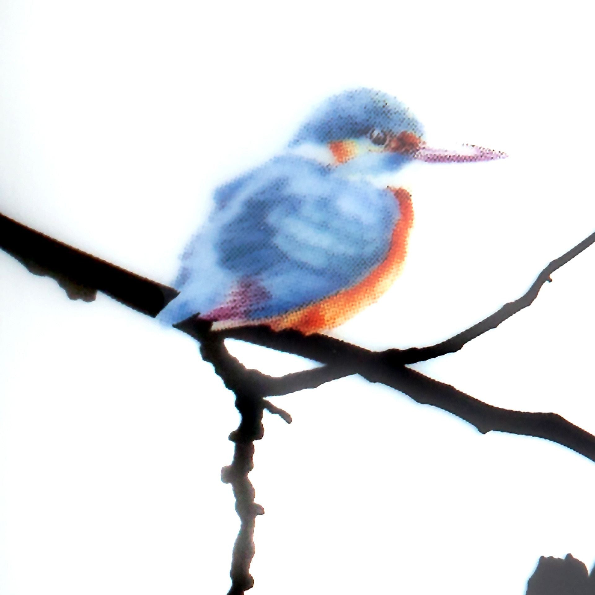 Henkelbecher, "Kingfisher", Eisvögel auf Zweig, 0,25l, | The Meissen Mug Collection - Berlin 79A421 - 55810 - Meissen Weimar