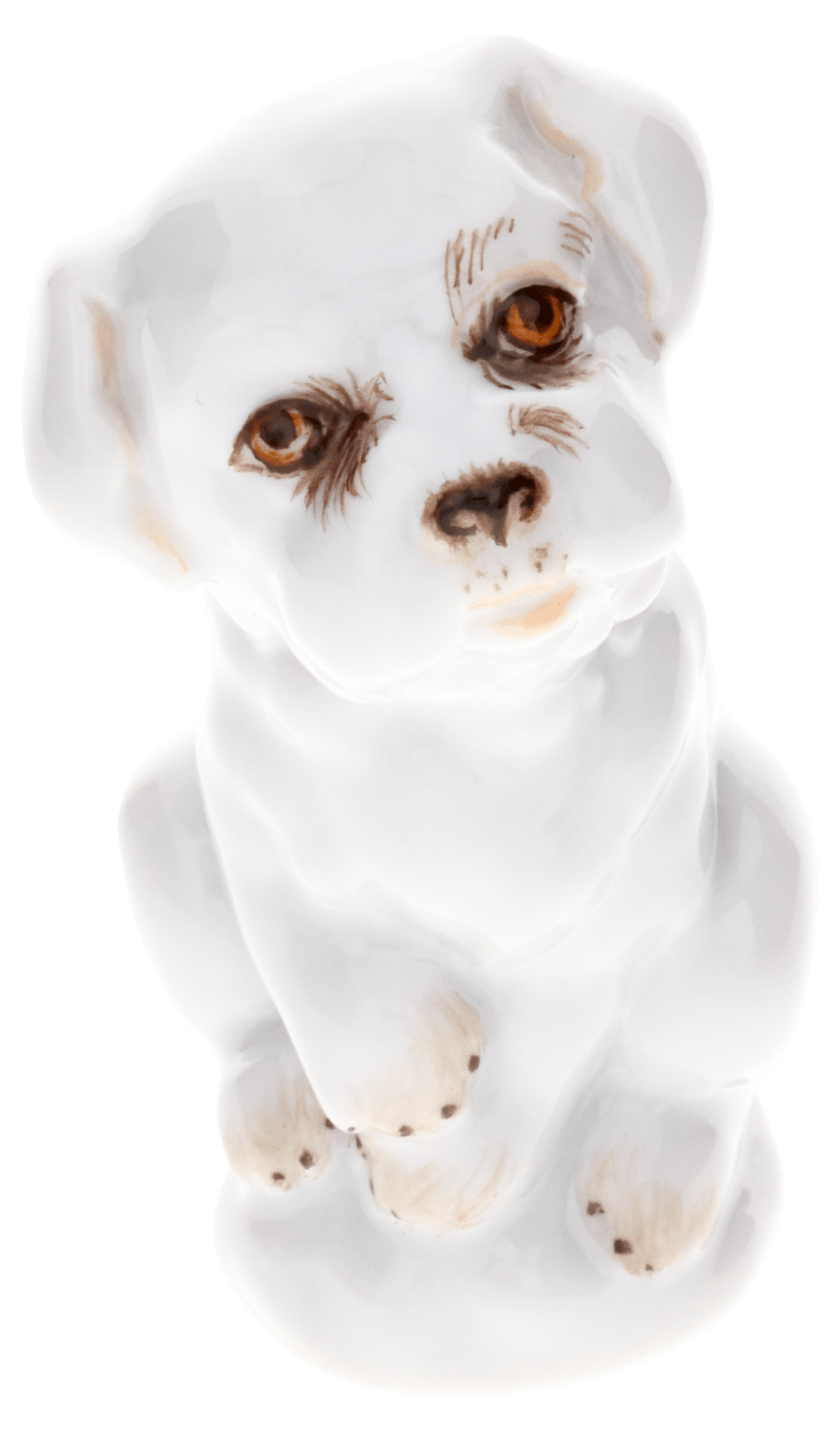 Hund, Bunt staffiert, leicht, H 5,5 cm | Meissen Figuren - Edition Tierkinder 900600 - 78003 - Meissen Weimar