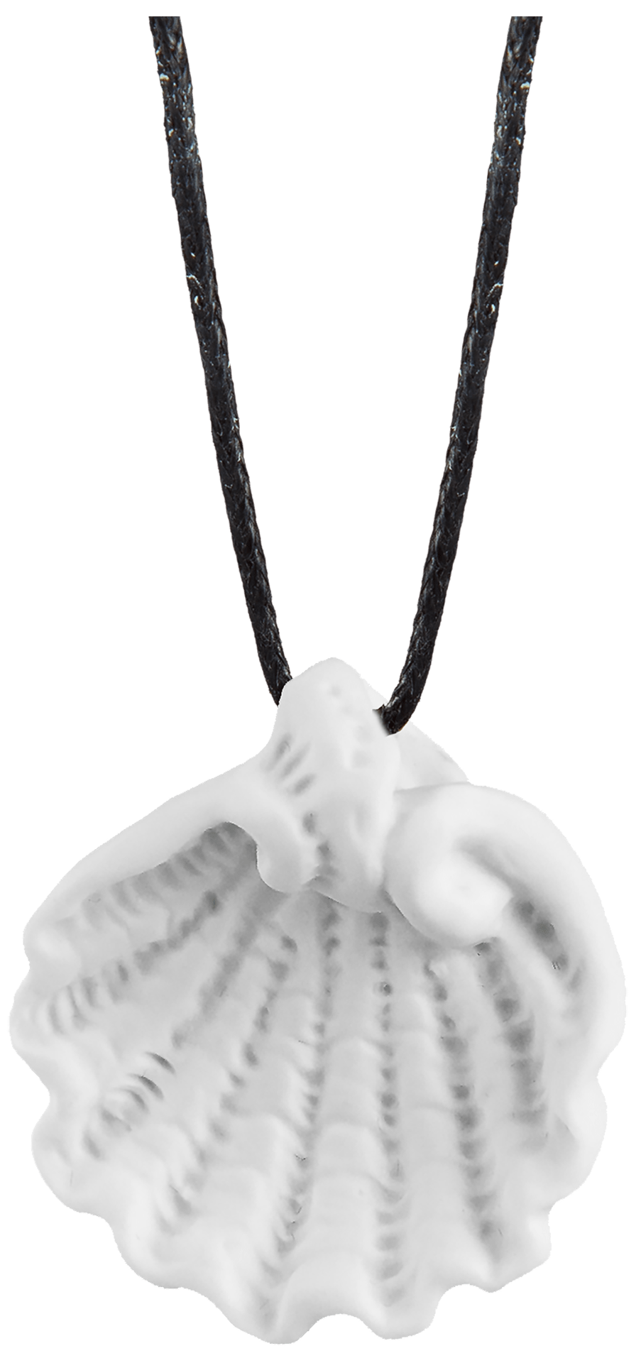 Porzellananhänger Muschel Weiß, H 3 cm | Meissen Porzellananhänger 777701 - 71019 - Meissen Weimar