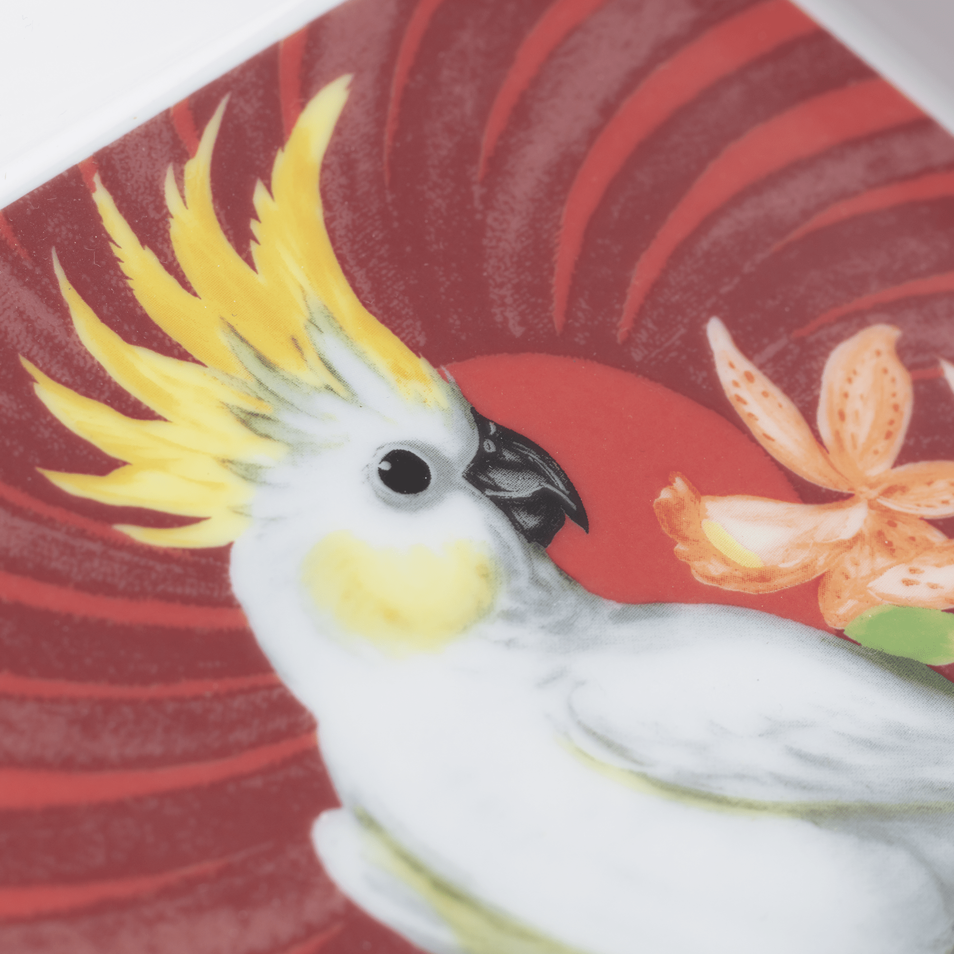 Schale eckig, groß, "Pink Cockatoo", 21 x 18,5 cm | The Meissen Vide - Poche - Collection 79A459 - 53274 - Meissen Weimar