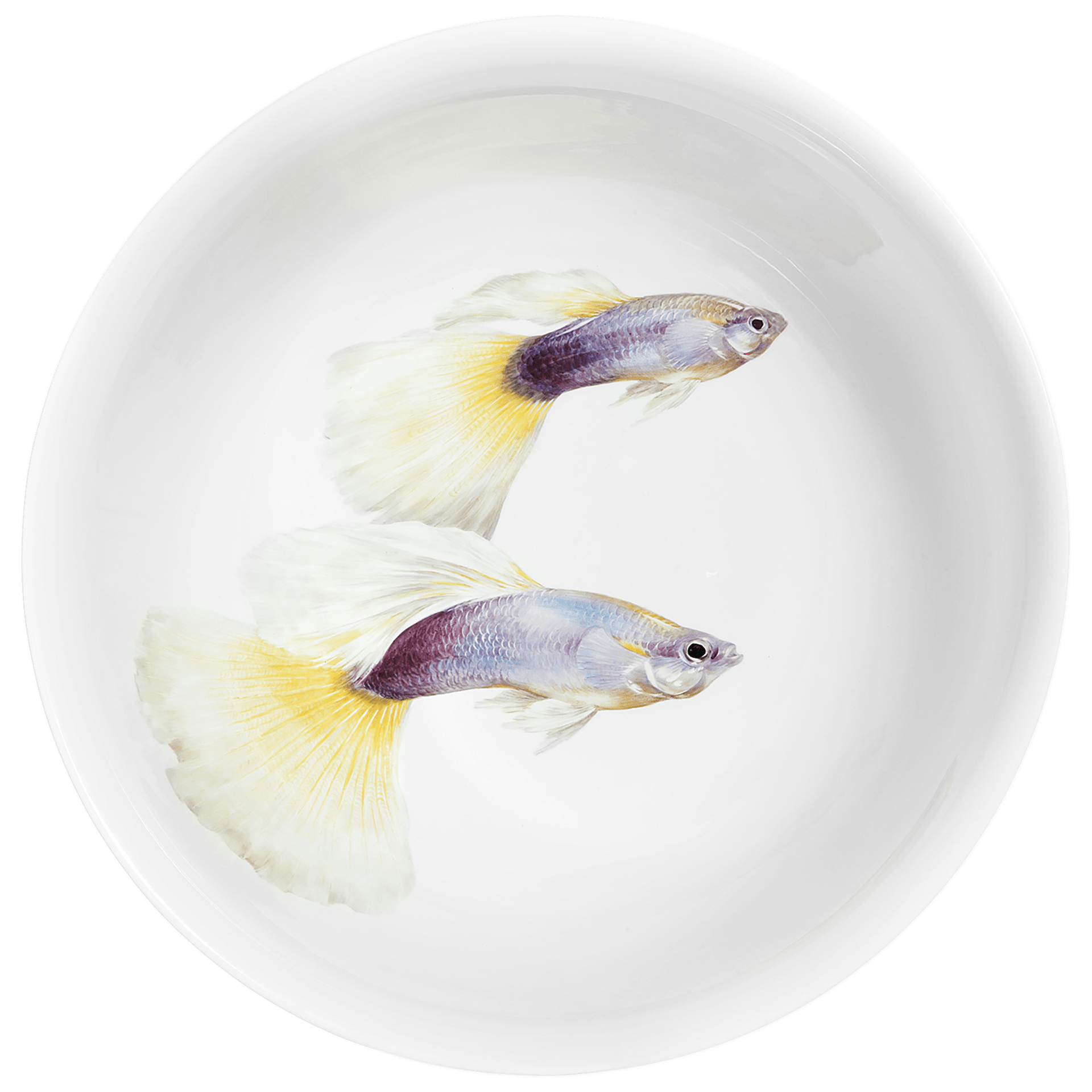Schale Weiß mit Fischmotiv, Ø 44 cm | Meissen Limitierte Meisterwerke 26a084 - 44275 - Meissen Weimar