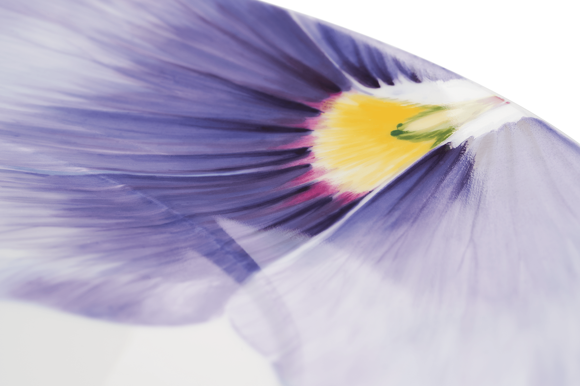 Speiseteller, klein, "Giant Bloom", Stiefmütterchen, Ø 24 cm | Meissen Cosmopolitan 61a160 - 37475 - Meissen Weimar