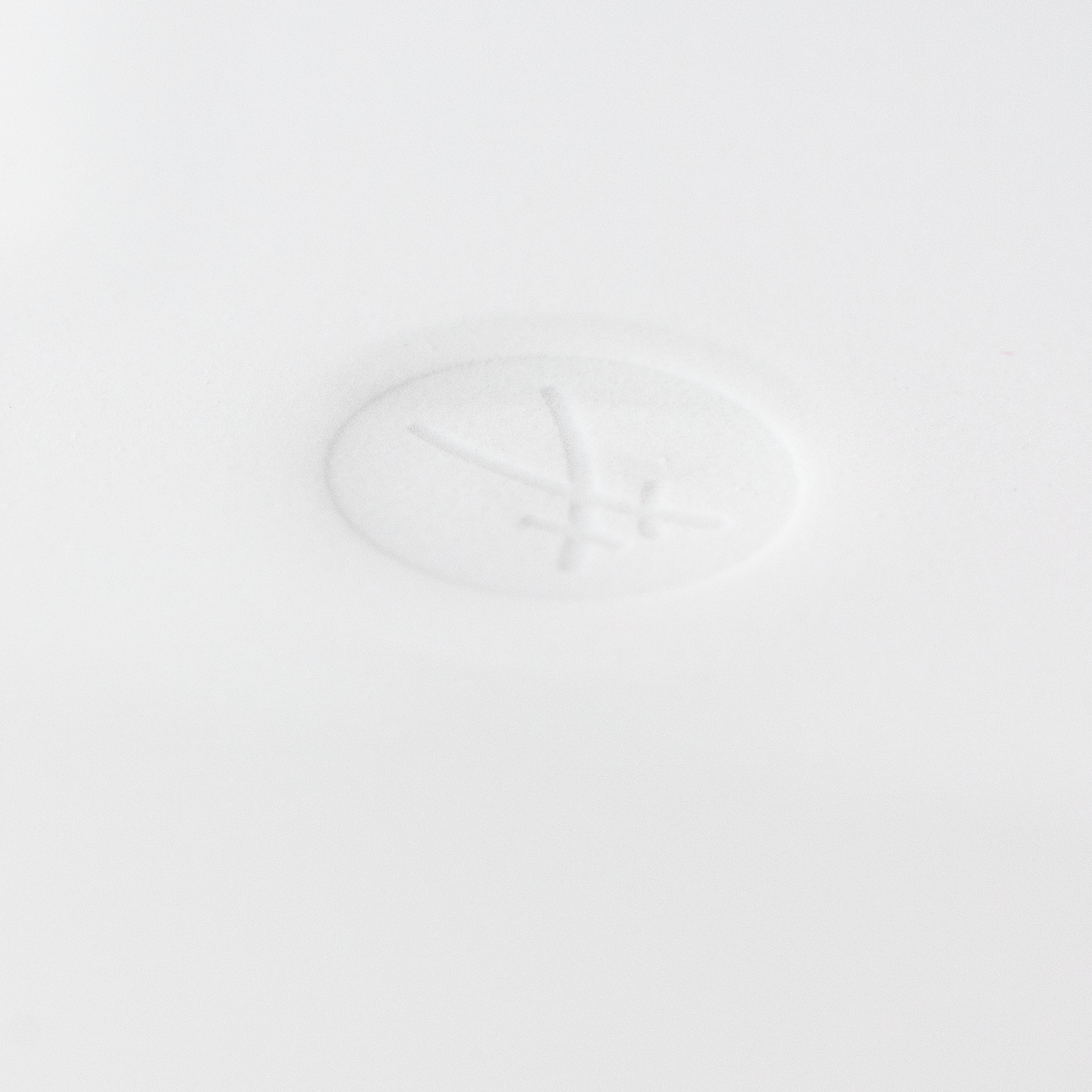 Suppenteller, Weiß, Ø 24 cm | Meissen Vitruv 000001 - 43487 - Meissen Weimar