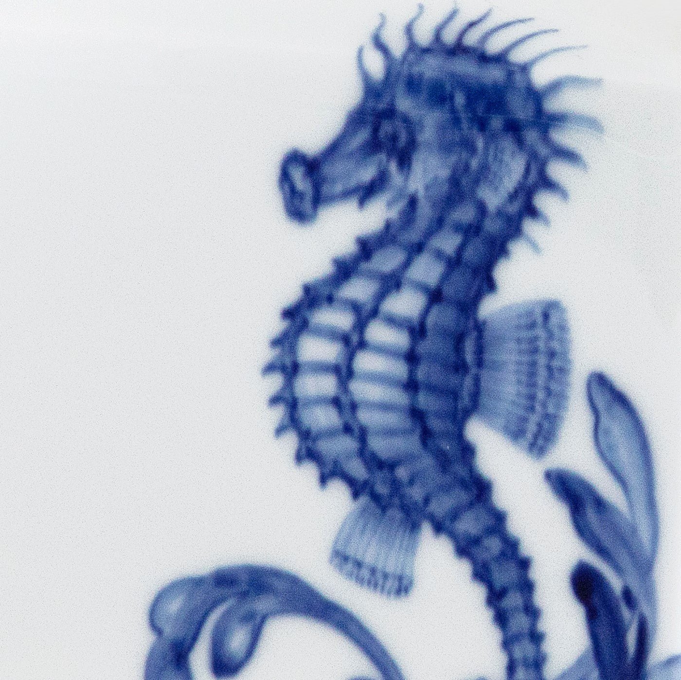Vase, 'Blue Treasures', Seepferdchen, H 13 cm | Meissen Cosmopolitan 82A278 - 50192 - Meissen Weimar