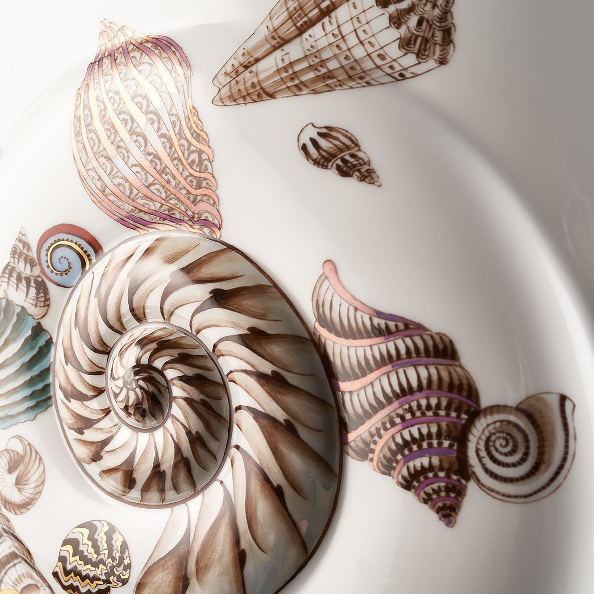 Vase, groß, Meeres - Schnecken - Relief, H 32 cm | Meissen Vasen - Kollektion 691584 - 50208 - Meissen Weimar