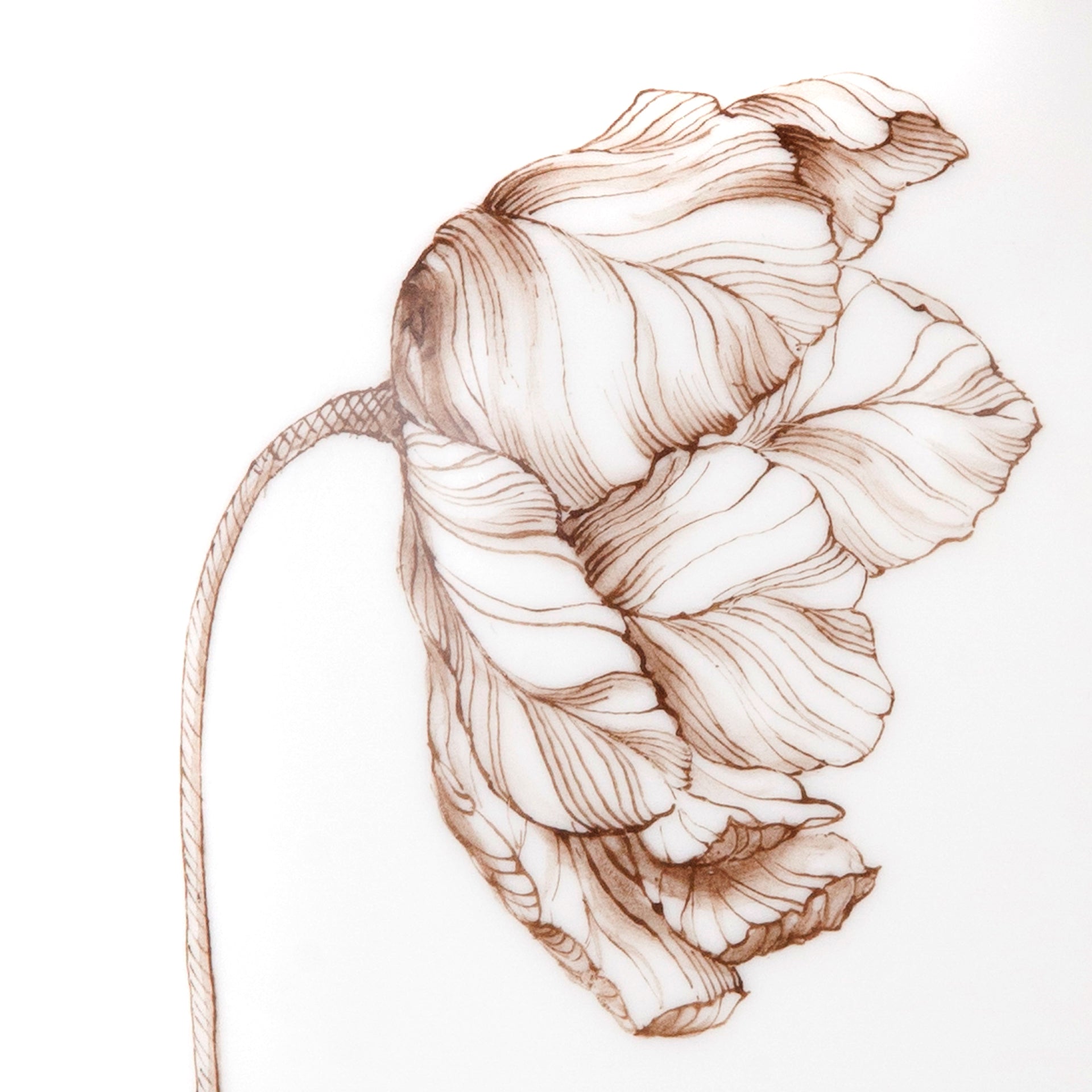 Vase, Tulpe sepia, H 24,5 cm | Meissen Limitierte Meisterwerke 20a174 - 51082 - Meissen Weimar
