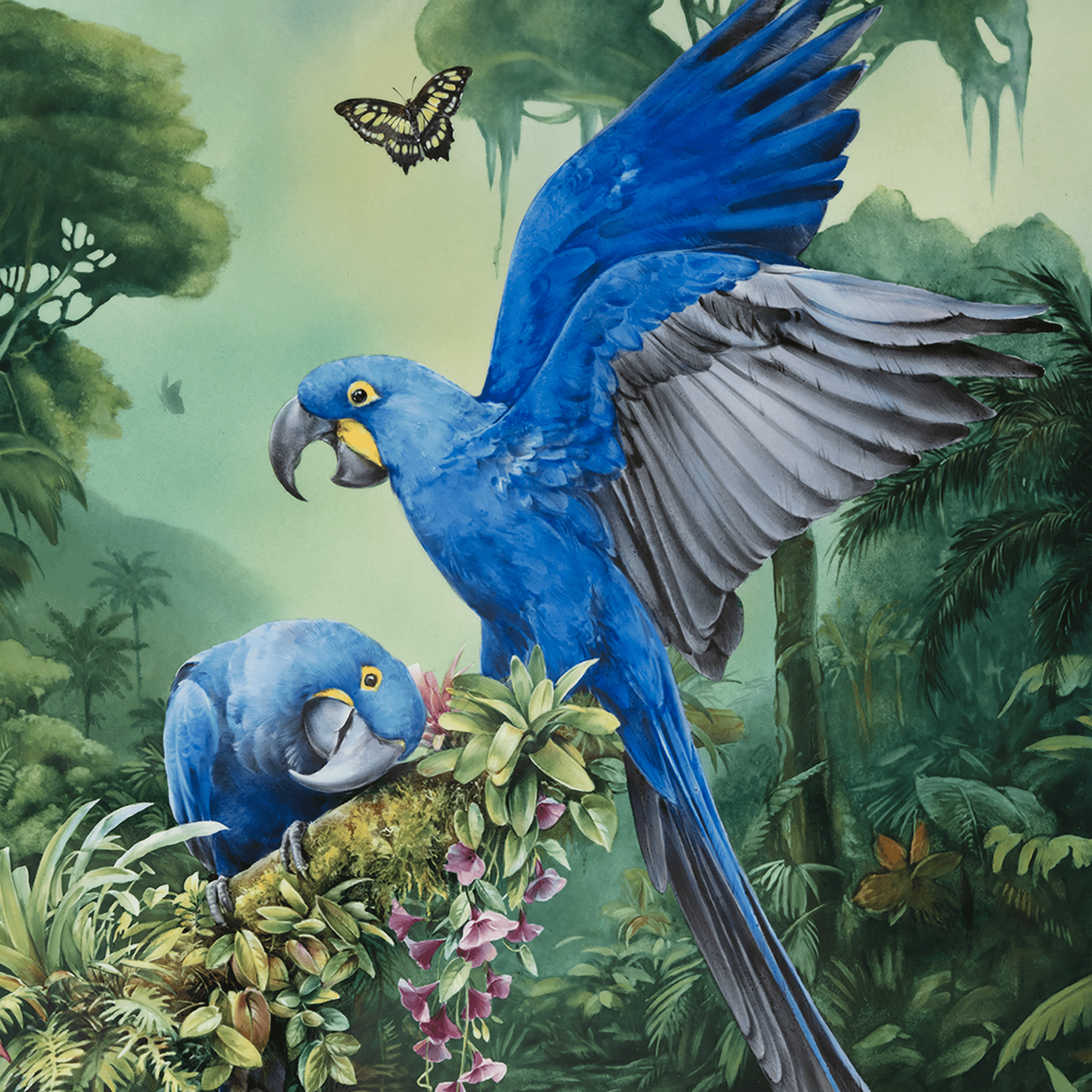 Wandbild Amazonas Blaue Aras, H 75 cm | Meissen Exklusiv - Kollektion 930280-9m221 - Meissen Weimar