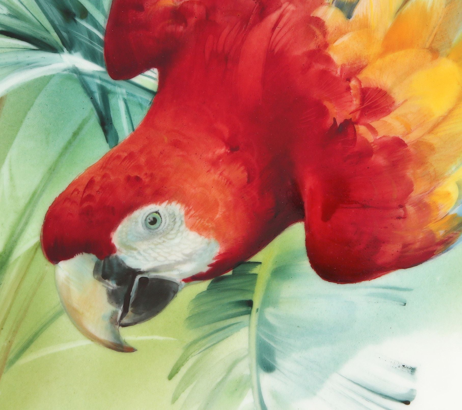 Wandbild, Amazonas Roter Ara, 30 x 30 cm | Meissen Wandbilder - Edition 936c74 - 9m010 - Meissen Weimar