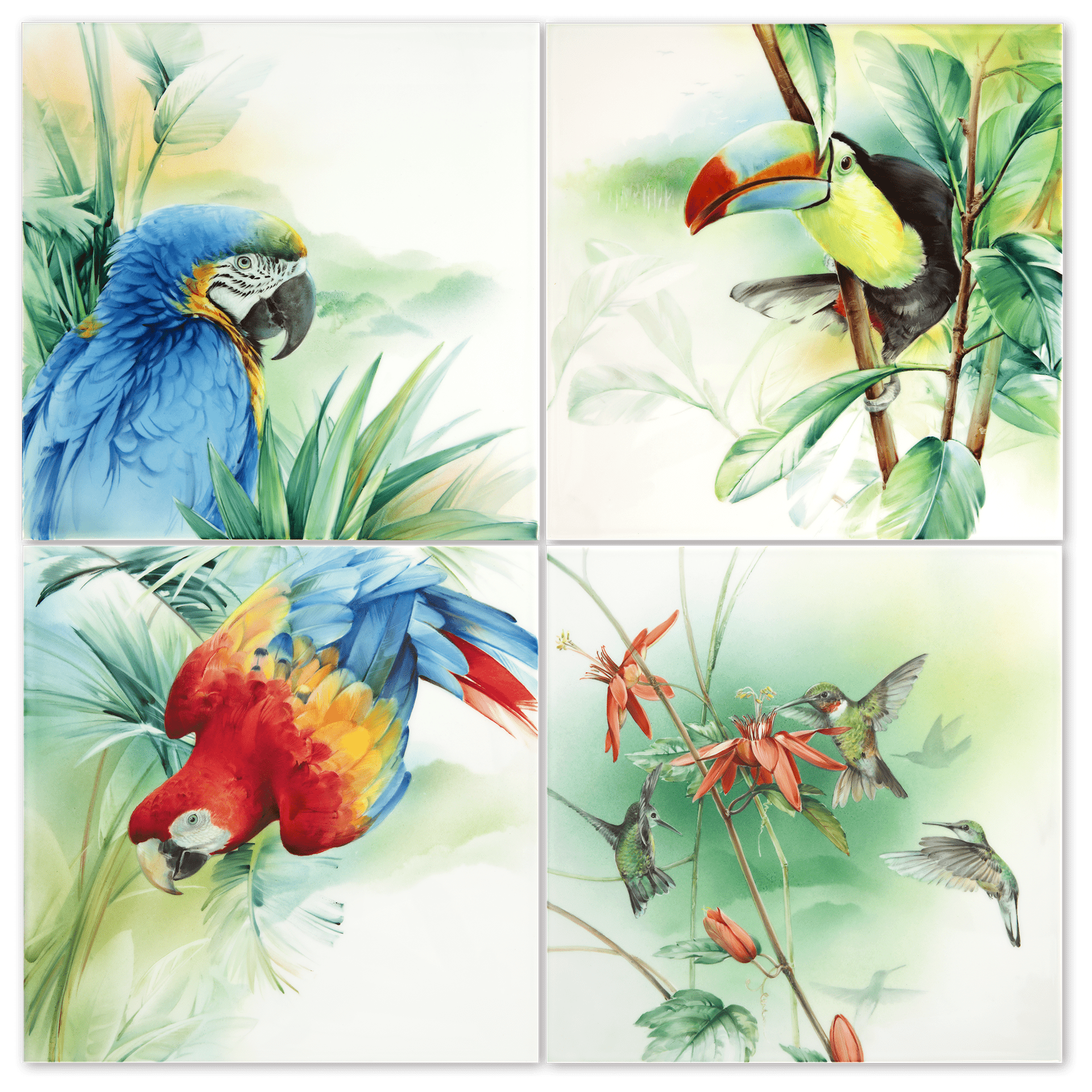 Wandbild, Amazonas Roter Ara, 30 x 30 cm | Meissen Wandbilder - Edition 936c74 - 9m010 - Meissen Weimar