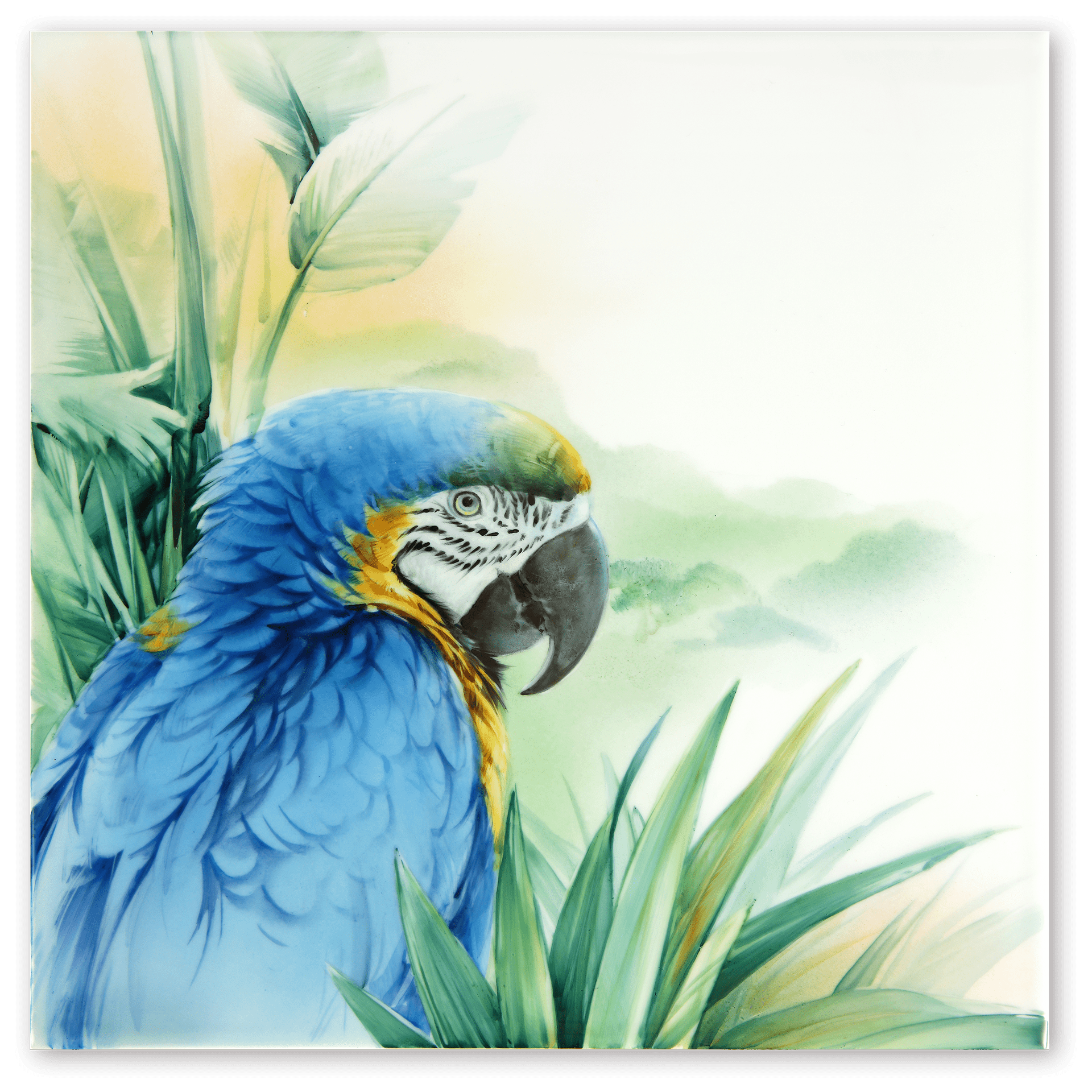 Wandbild 'Blauer Ara' Lim. 25, 30x30 cm | Meissen Artcolletion - Blidermalerei auf Porzellanplatte 936B74 - 9M010 - Meissen Weimar