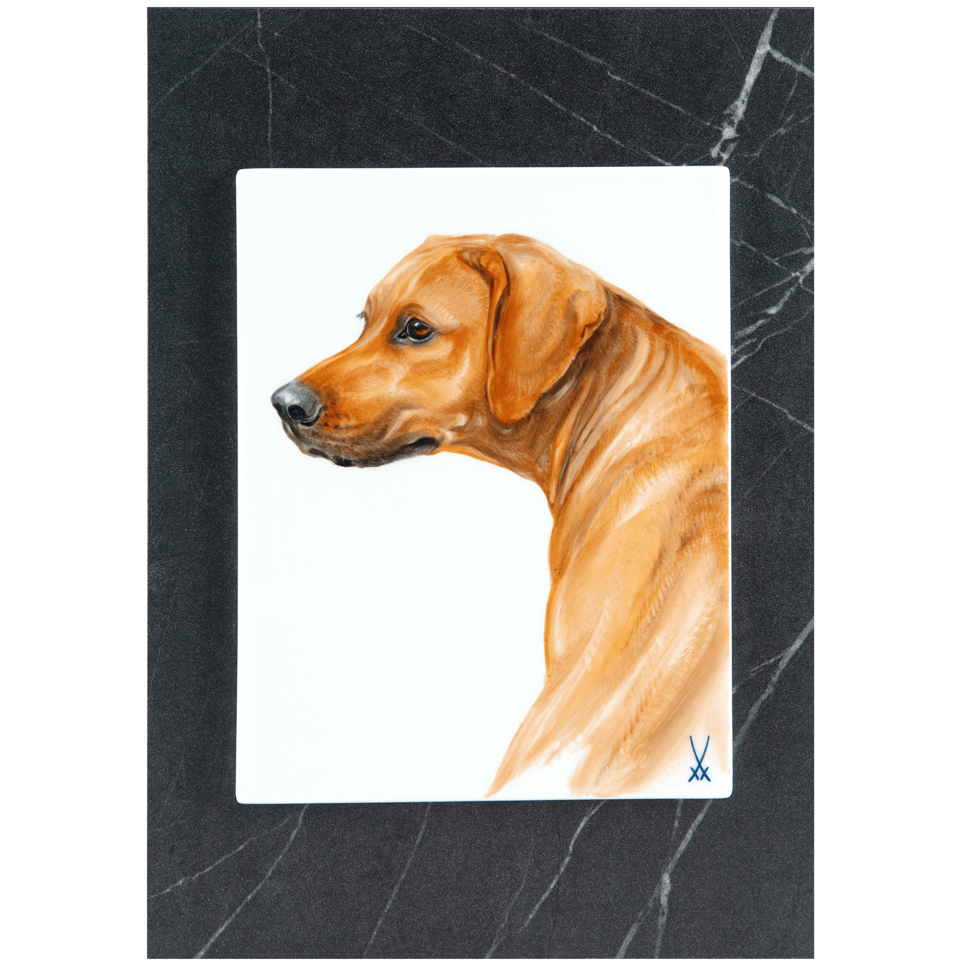 Wandbild Hundekopf Motiv, 30 cm Höhe | Meissen Wandbilder - Edition 26a121-9m298 - Meissen Weimar