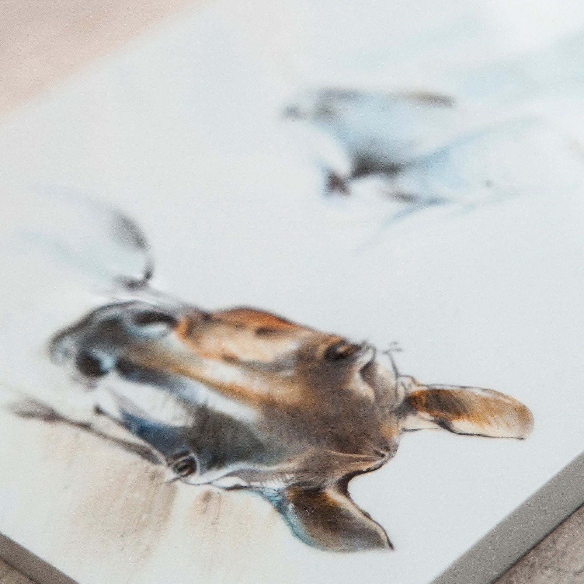 Wandbild, Pferde Studie, 30 x 30 cm | Meissen Wandbilder - Edition 936174 - 9m010 - Meissen Weimar