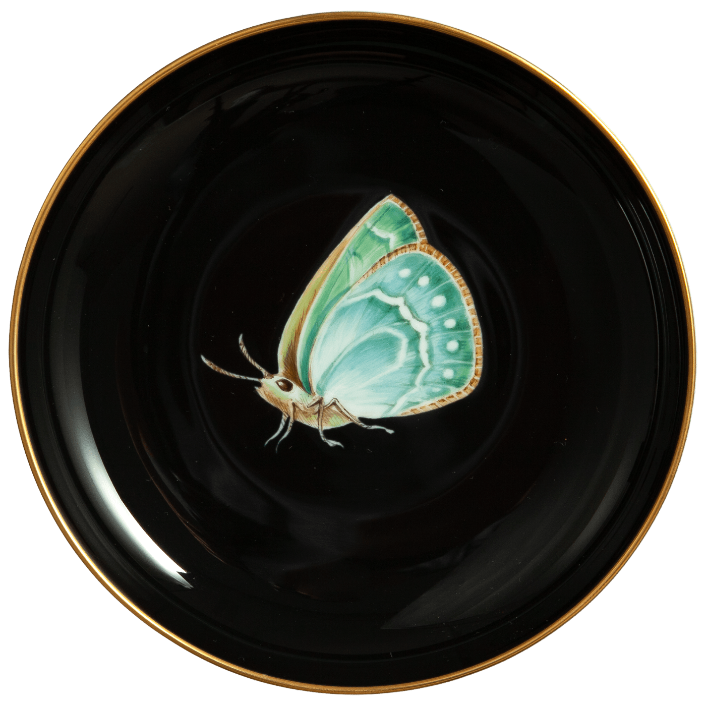 Wandschälchen Grüner Zipfelfalter, Ø 13 cm | Meissen Wandschalen - Edition 20a116 - 24m05 - Meissen Weimar