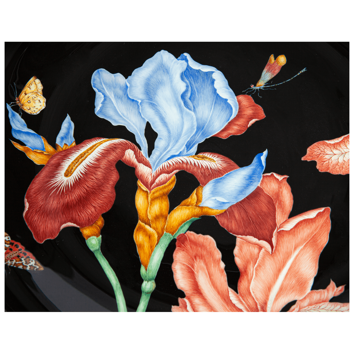 Wandschale, Iris mit Schmetterlingen, Ø 46 cm, limitiert | Meissen Limitierte Meisterwerke 20a884 - 54m41 - Meissen Weimar