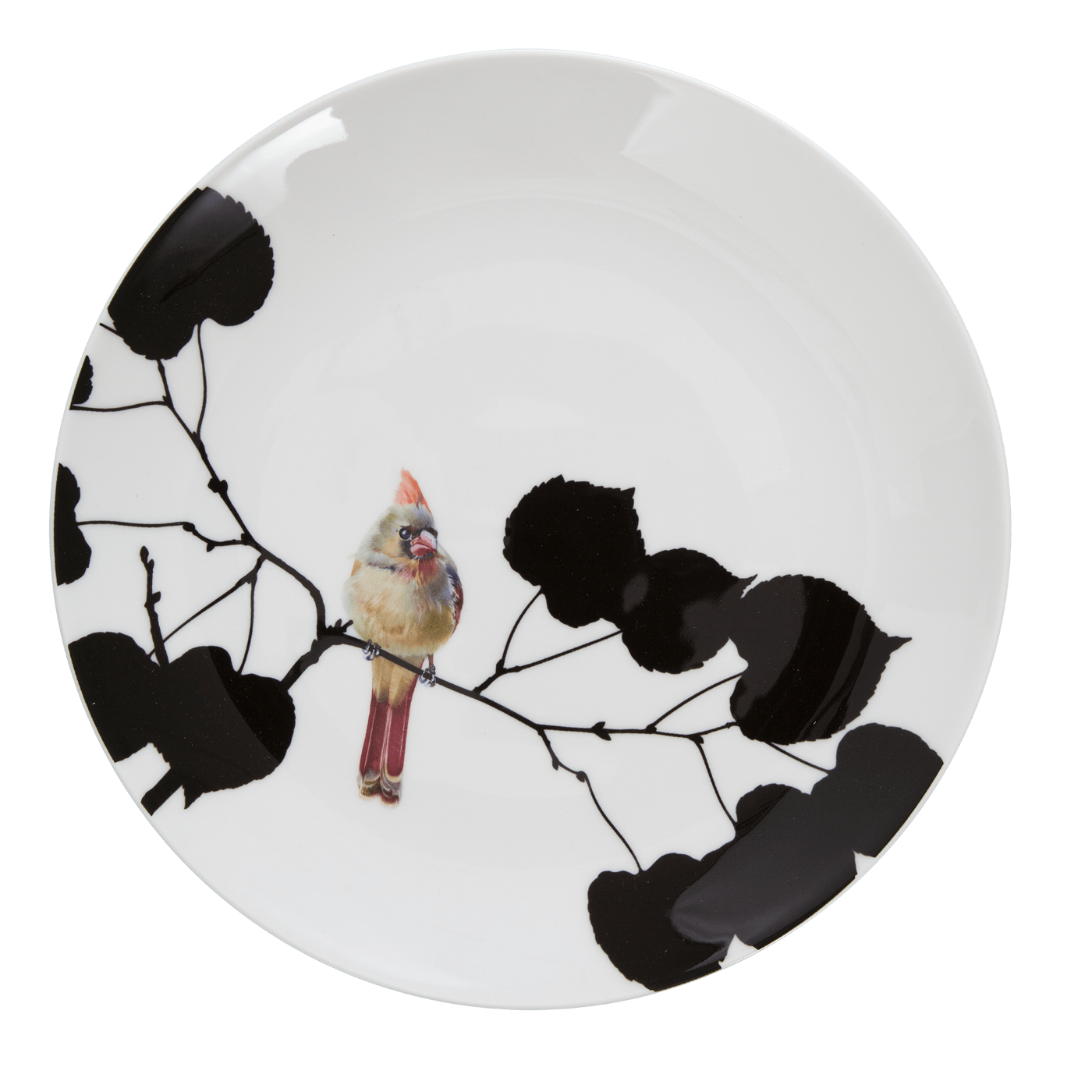 Wandteller Flying Jewels Bunt Ø 27 cm | Meissen Kollektion Flying Wonders 61a129 - 54m49 - Meissen Weimar
