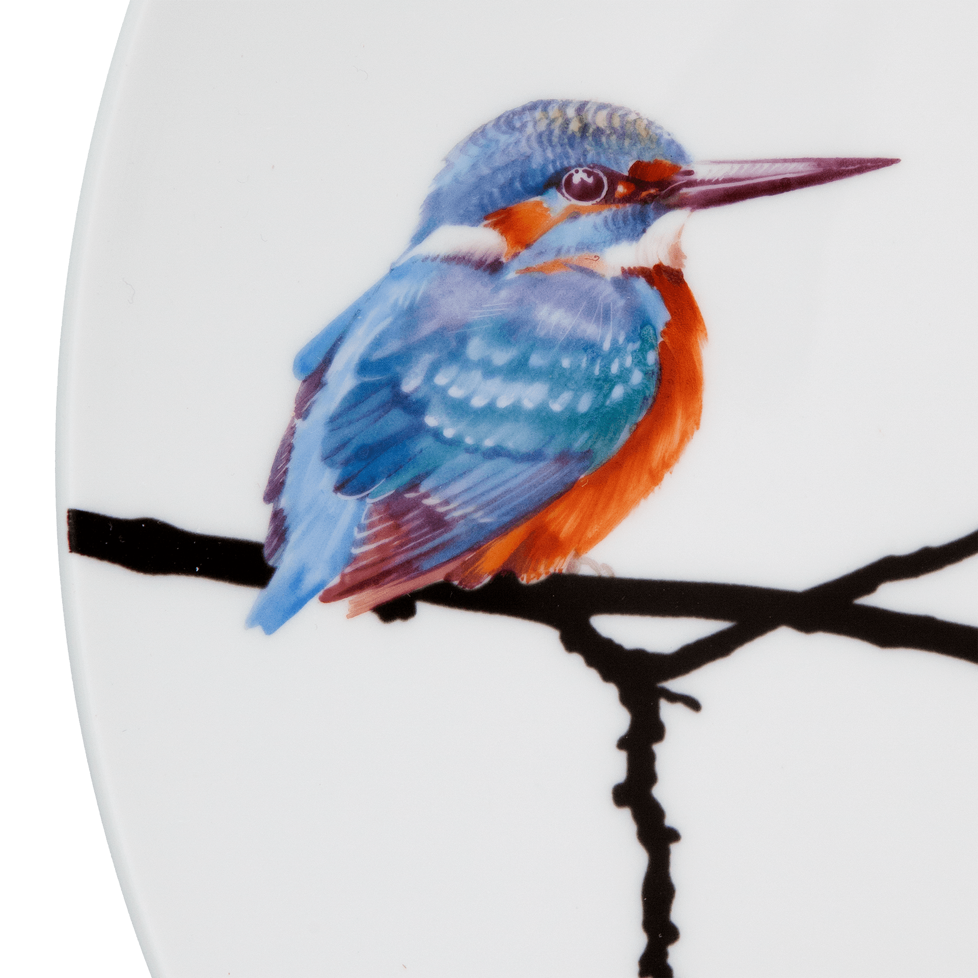 Wandteller, 'Kingfisher', Ø 27 cm | Meissen Kollektion 'Flying Jewels' 61A125 - 54M49 - Meissen Weimar
