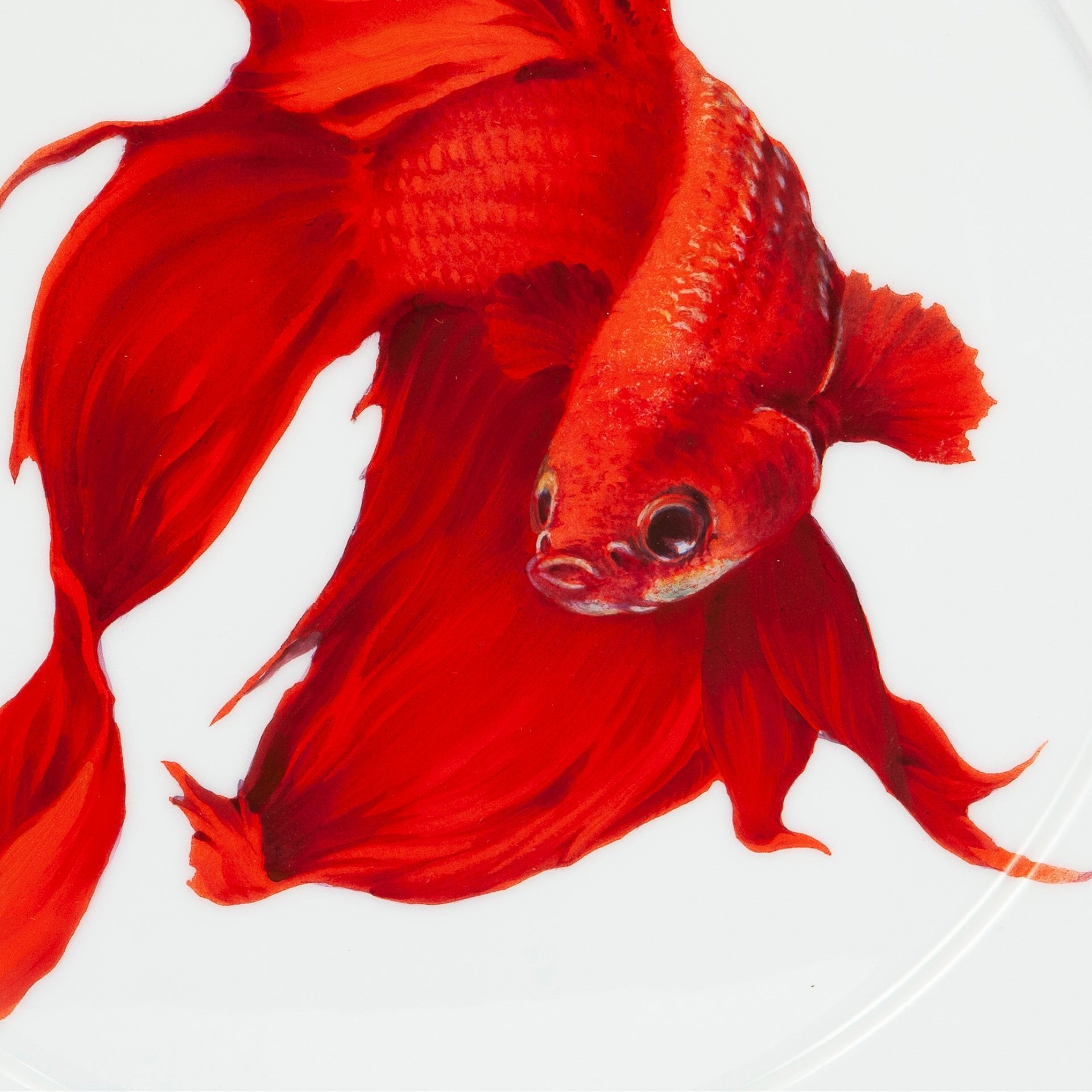 Wandteller Roter Betta Kampffisch, Ø 33 cm | Meissen No.41 Casa 936574 - 41m02 - Meissen Weimar