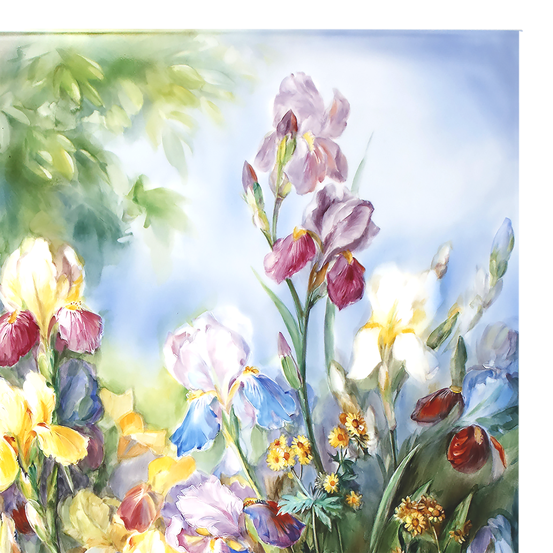 Wandbild Schwertlilien, Lim. 15, 75 x 51 cm | Meissen Limitierte Meisterwerke