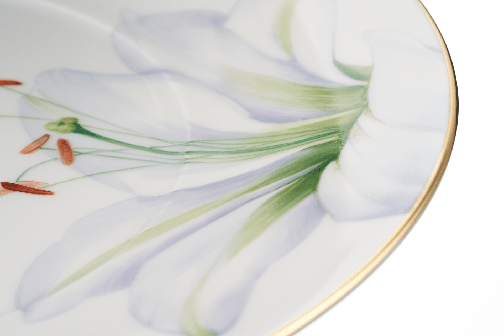 Dessertteller Giant Bloom Ø 22,5 cm | Meissen Cosmopolitan 61b161 - 37473 - Meissen Weimar
