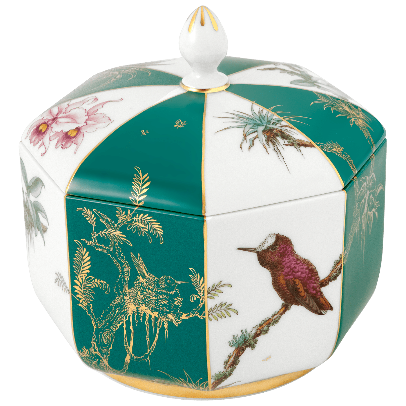 Dose Kolibri und Orchideen, Ø 12 cm, limitiert | Meissen Limitierte Meisterwerke 603174 - 52722 - Meissen Weimar