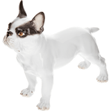 Einzelfigur Bulldogge, Bunt staffiert, H 16,5 cm | Meissen Figuren Individuell
