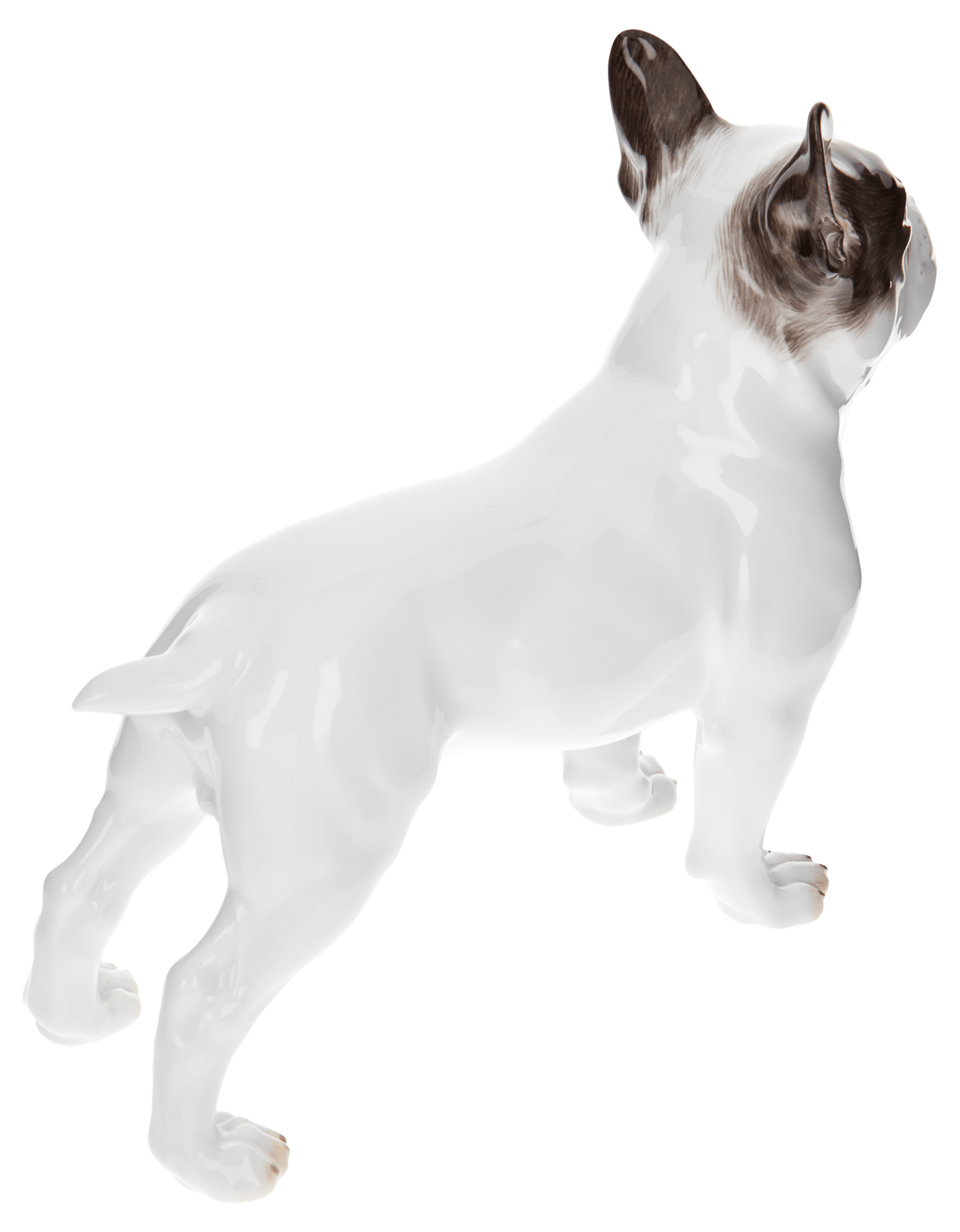 Einzelfigur Bulldogge, Bunt staffiert, H 16,5 cm | Meissen Figuren Individuell 900100 - 78769 - Meissen Weimar