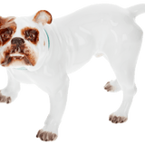 Einzelfigur Bulldogge, bunt staffiert, H 7 cm | Meissen Figuren Individuell