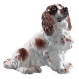 Einzelfigur Cockerspaniel, Bunt staffiert, H 14 cm | Meissen Figuren Individuell