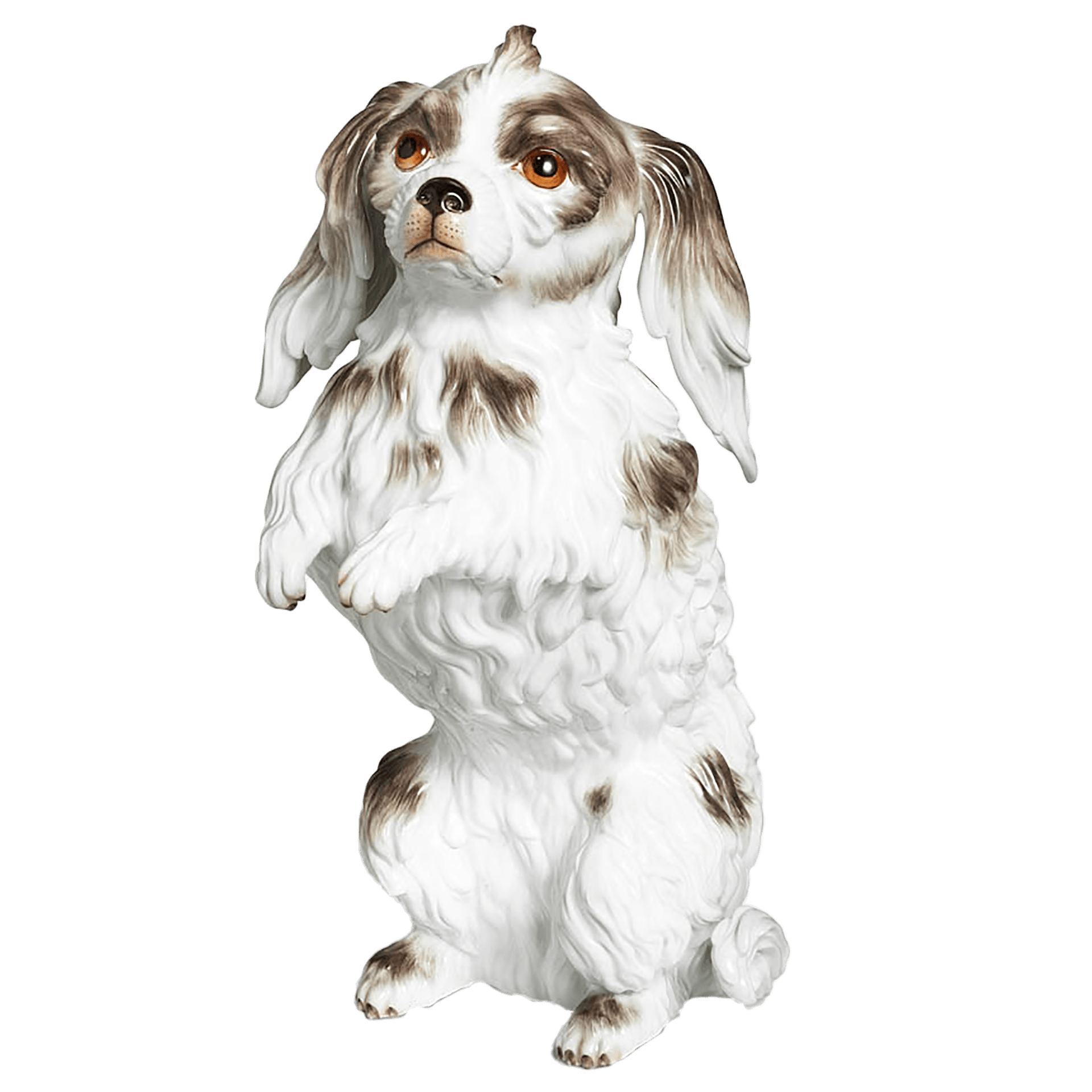 Einzelfigur Hund Bologneser Weiß, H 25 cm | Meissen Figuren Individuell 900184 - 78586 - Meissen Weimar