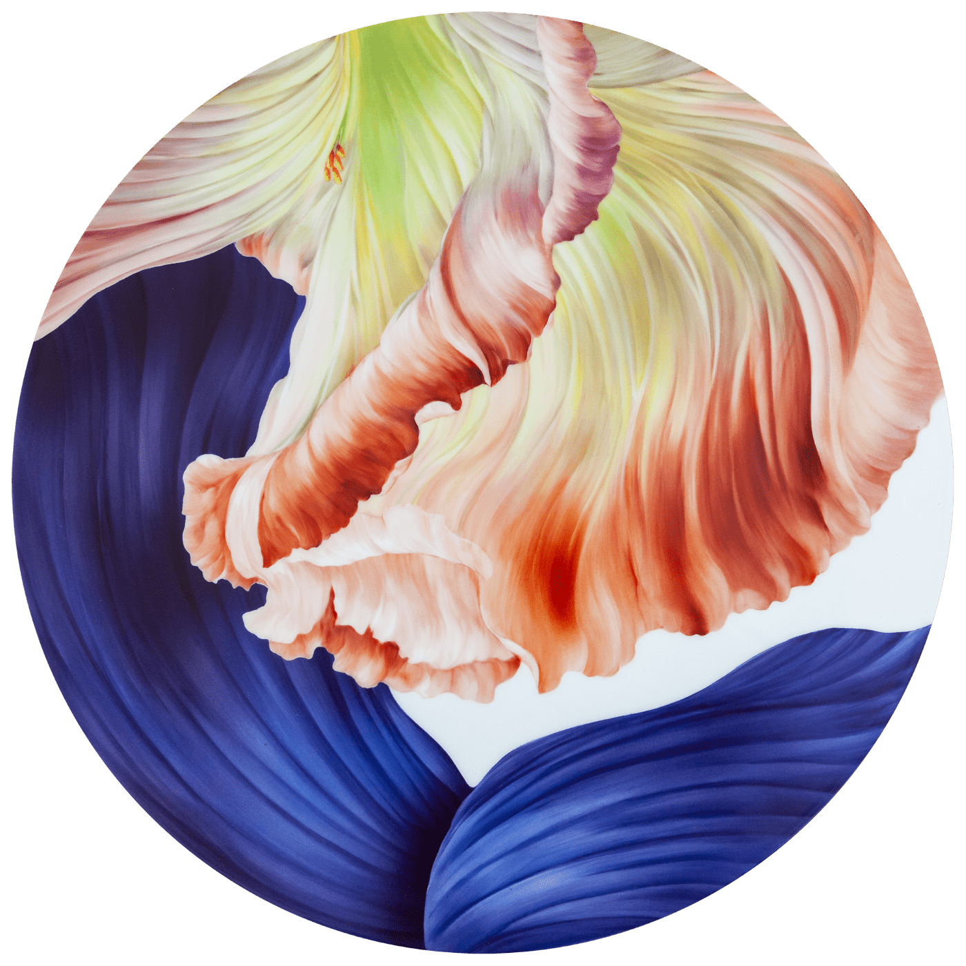 Gemaltes Wandbild Giant Bloom, Porzellan, Ø 50 cm | Meissen Limitierte Meisterwerke 932o84 - 9ma62 - Meissen Weimar
