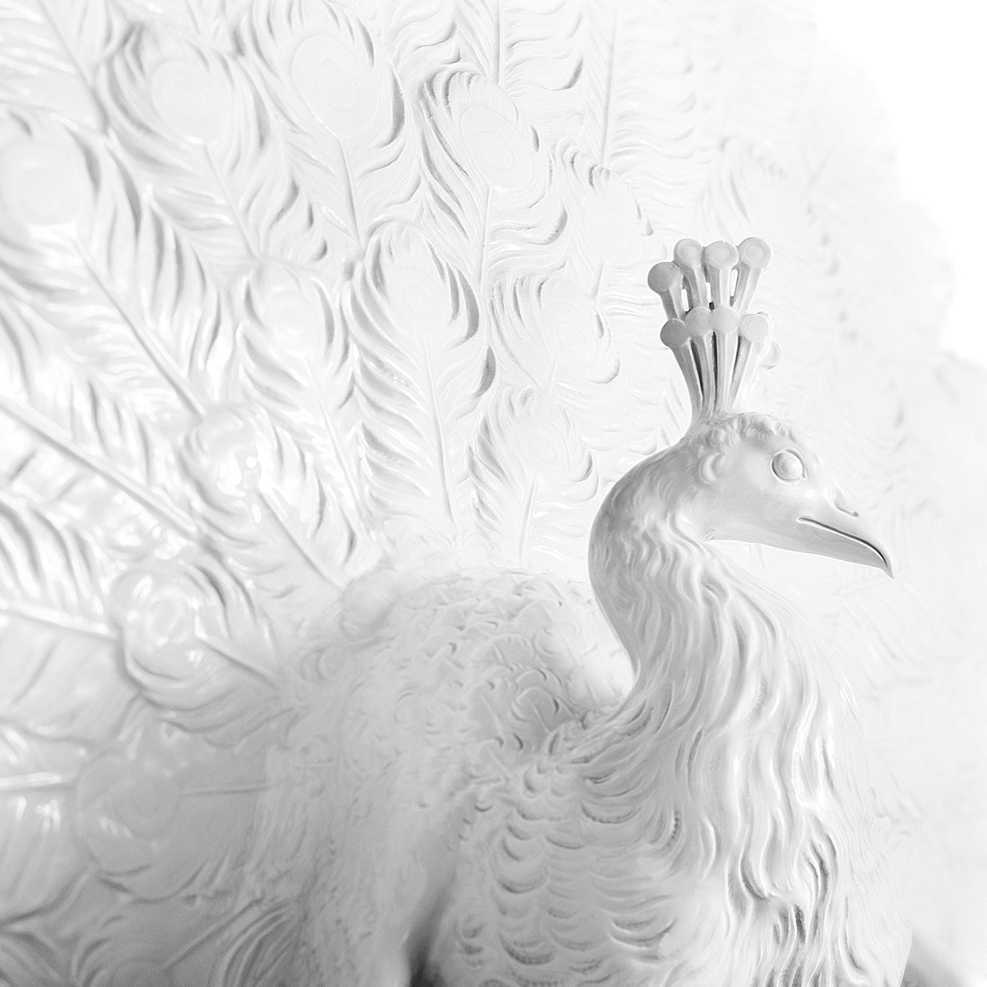 Großplastik Pfau Weiß, H 110 cm | Meissen Exklusiv - Kollektion 000080 - 76m04 - Meissen Weimar
