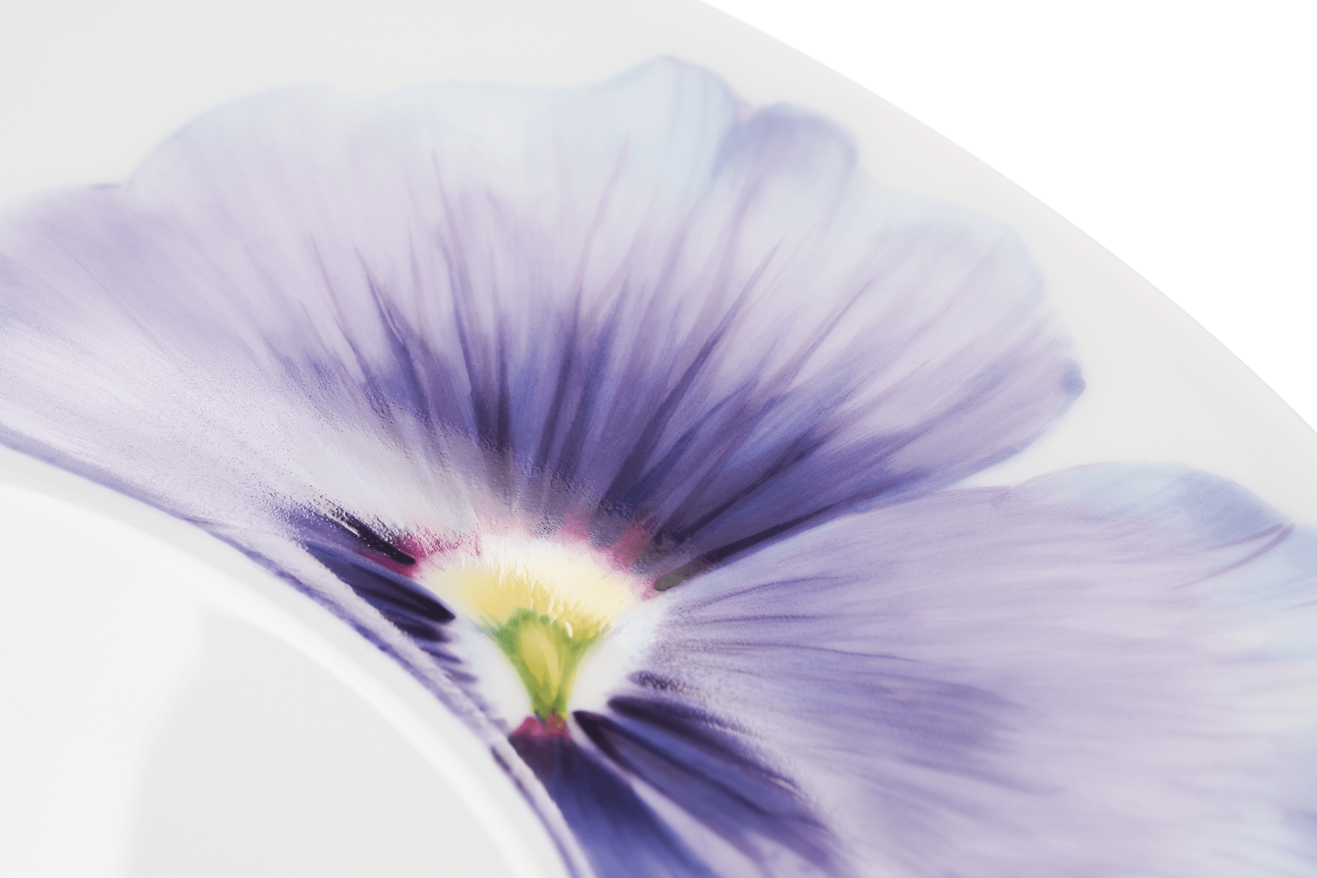 Kaffeeuntertasse, 'Giant Bloom', Stiefmütterchen, Ø 16,5 cm | Meissen Cosmopolitan 61A160 - 37562 - Meissen Weimar