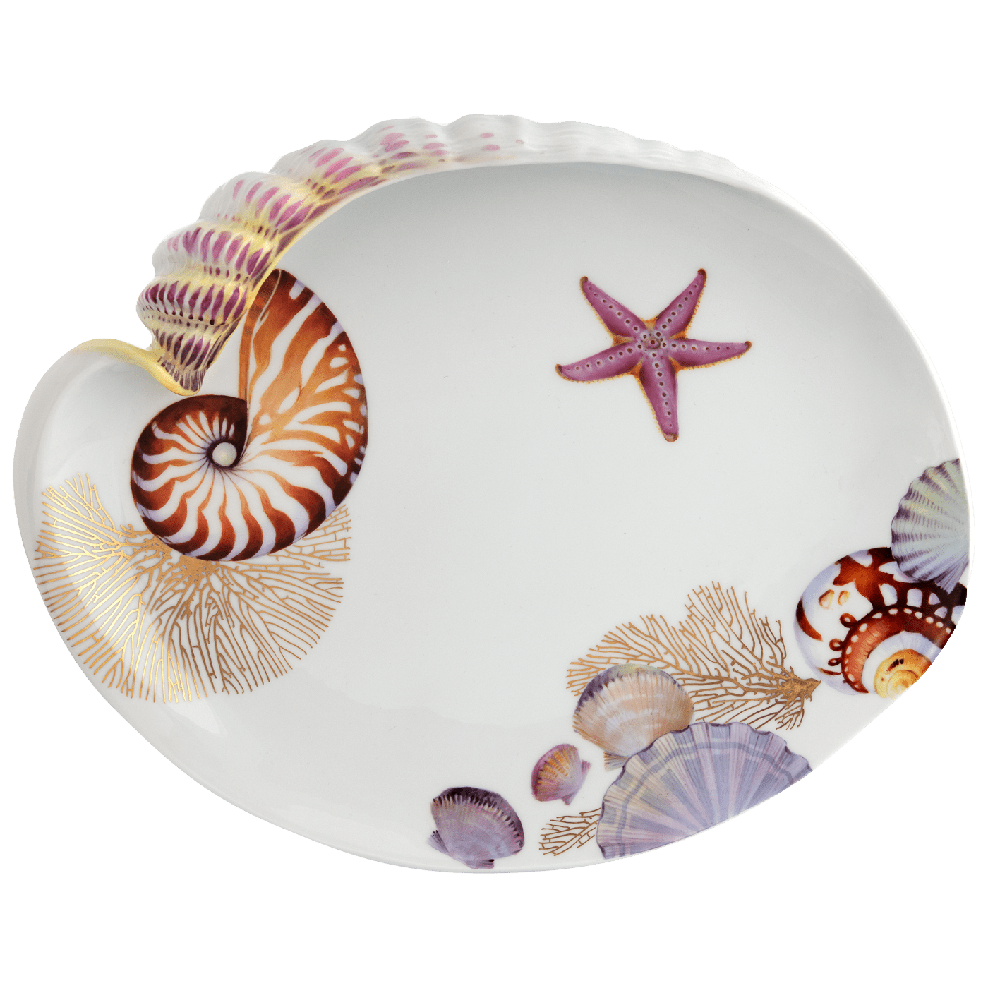 Muschelschale Nautilus Porzellan L 32 cm, limitiert | Meissen Fine Dining 26a274 - 53267 - Meissen Weimar