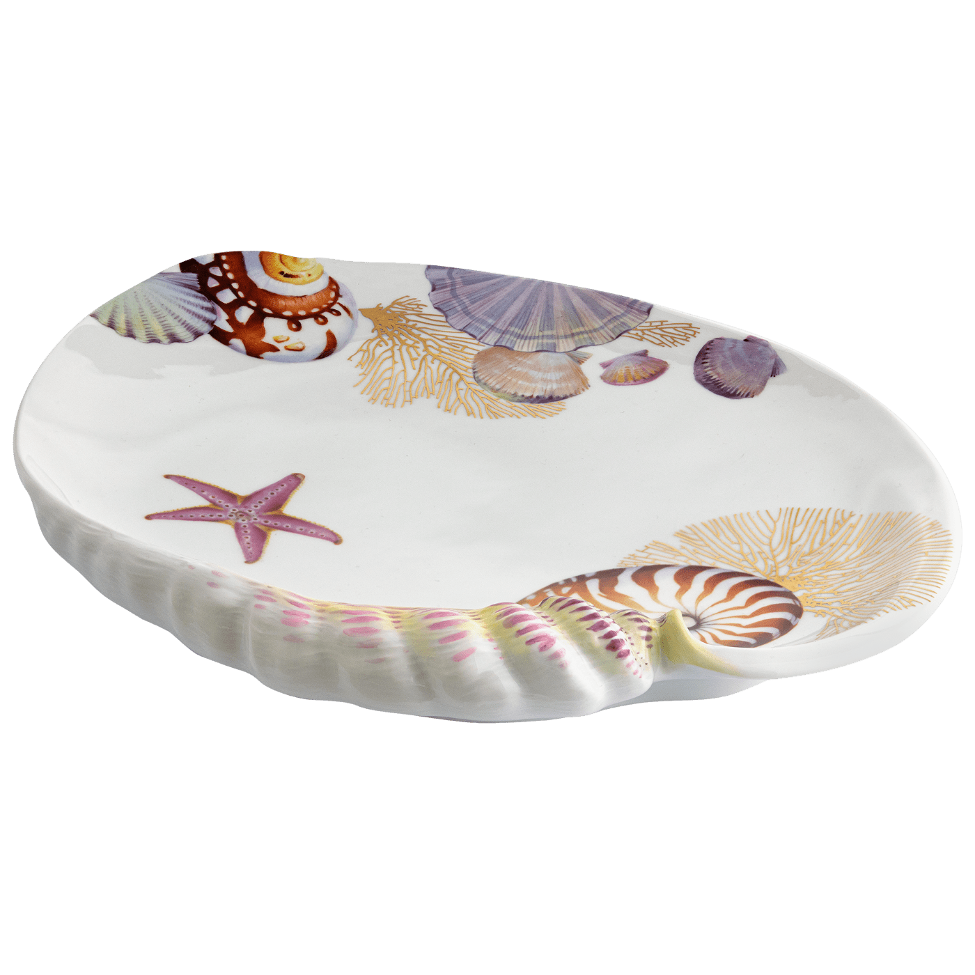Muschelschale Nautilus Porzellan L 32 cm, limitiert | Meissen Fine Dining 26a274 - 53267 - Meissen Weimar