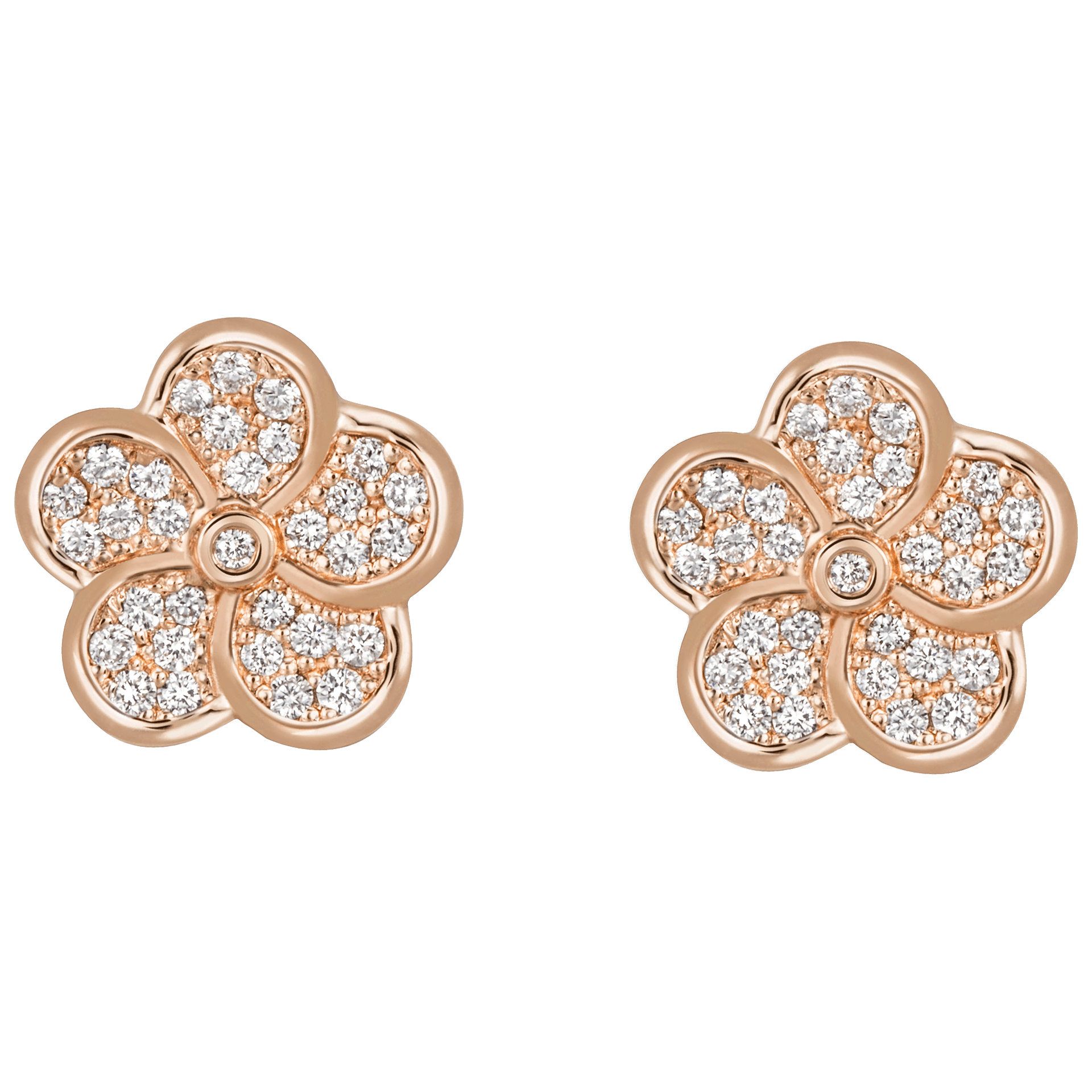 Ohrstecker, Royal Blossom Pavé, Gewicht 3 g | Meissen Royal Blossom Collection mpj50bp19900 - Meissen Weimar