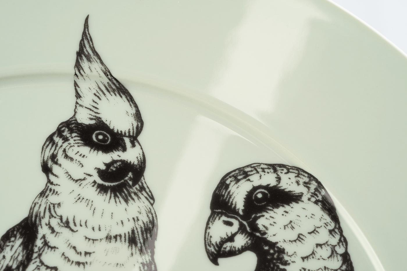 Platzteller Paradise Birds Jade Ø 33 cm | Meissen No.41 Casa 79a508 - 41478 - Meissen Weimar