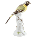 Porzellanfigur Bachstelze, Bunt staffiert, H 16 cm | Meissen Figuren-Edition Tierkinder