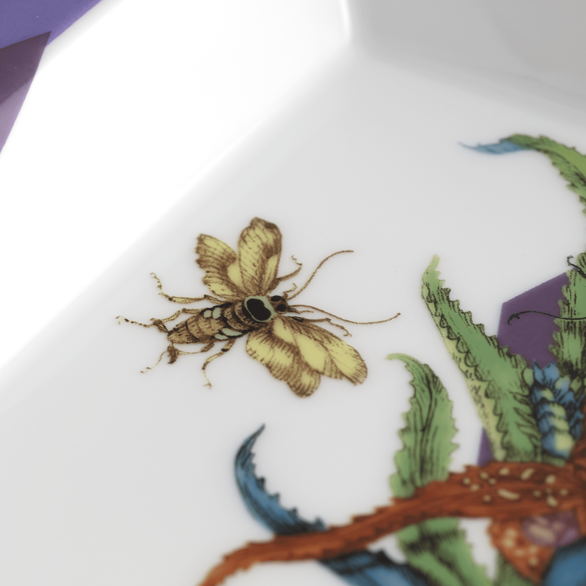 Schale eckig, groß,"Exotic Purple", 21 x 18,5 cm | The Meissen Vide - Poche - Collection 79A458 - 53274 - Meissen Weimar