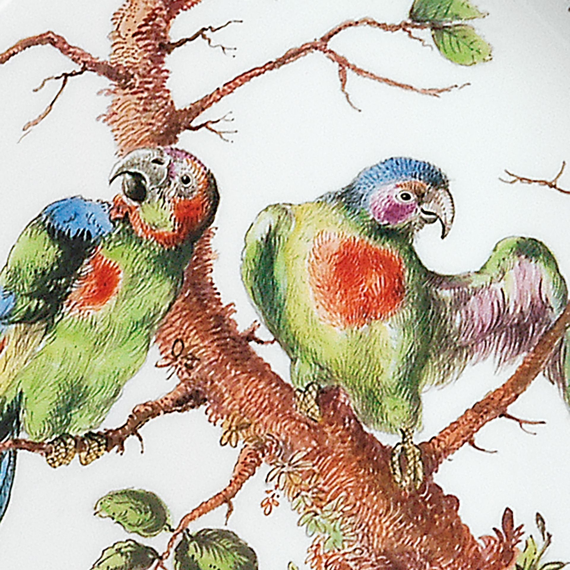 Schale Exotische Vögel Ø 19 cm, limitiert | Meissen Limitierte Meisterwerke 262684 - 53271 - Meissen Weimar