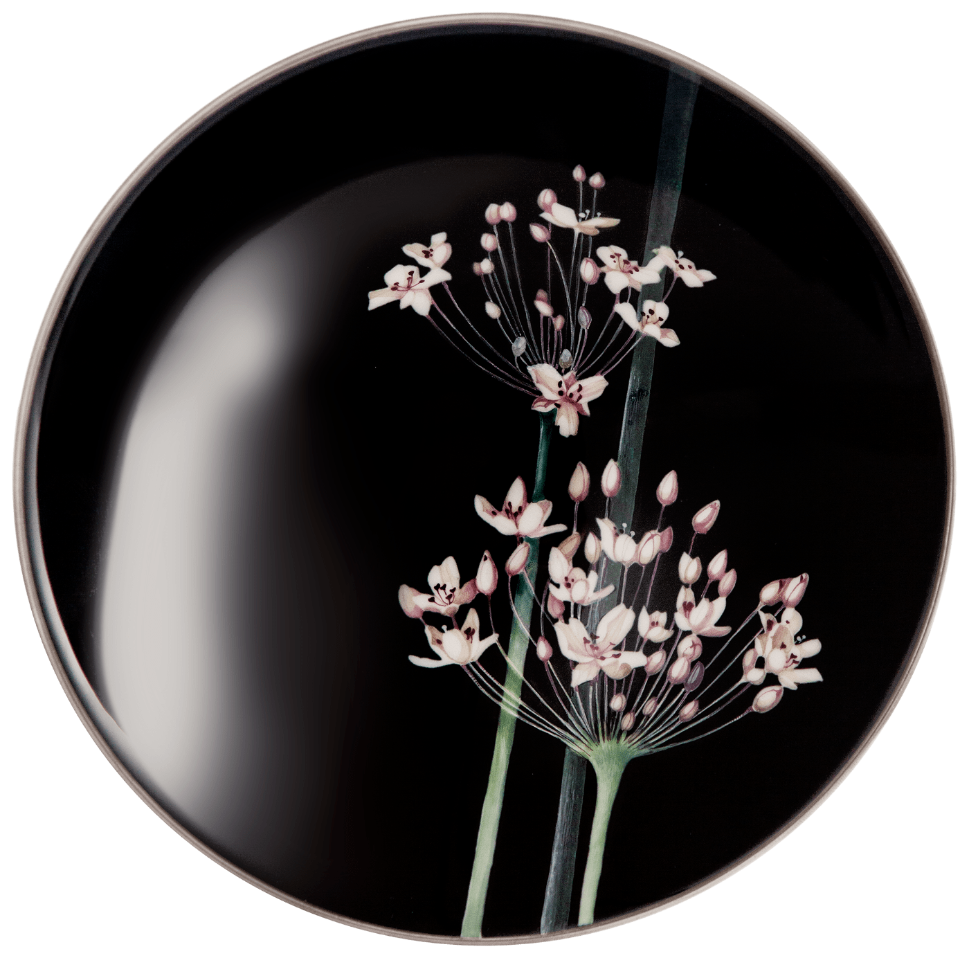 Schale Pure Harmonie, Ø 17 cm, limitiert | Meissen Limitierte Meisterwerke 237874 - 54621 - Meissen Weimar