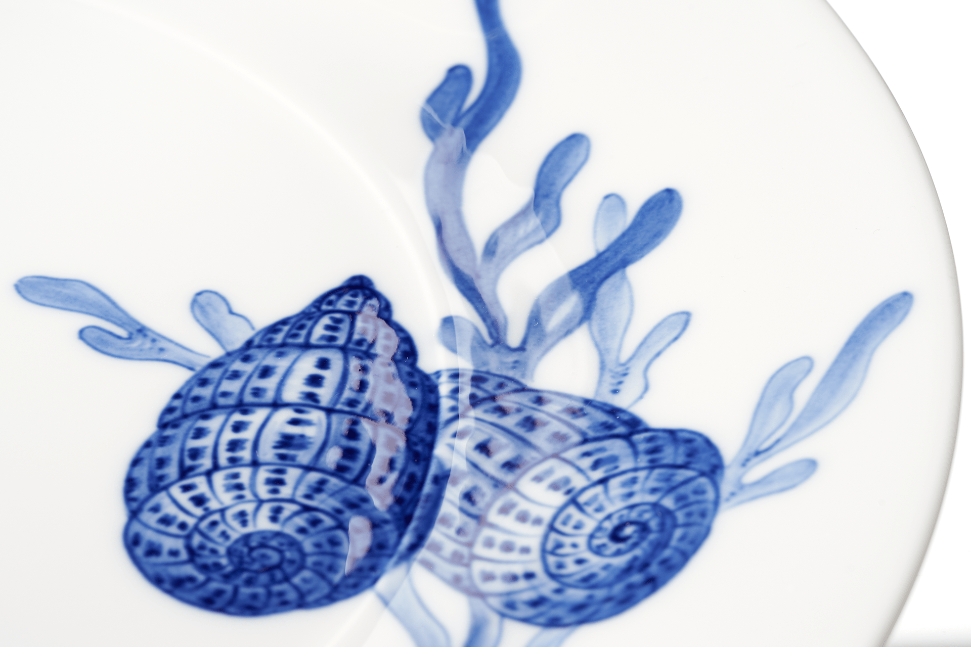Speiseteller, groß, "Blue Treasures", Muschel, Ø 30 cm | Meissen Cosmopolitan 82a279 - 37479 - Meissen Weimar