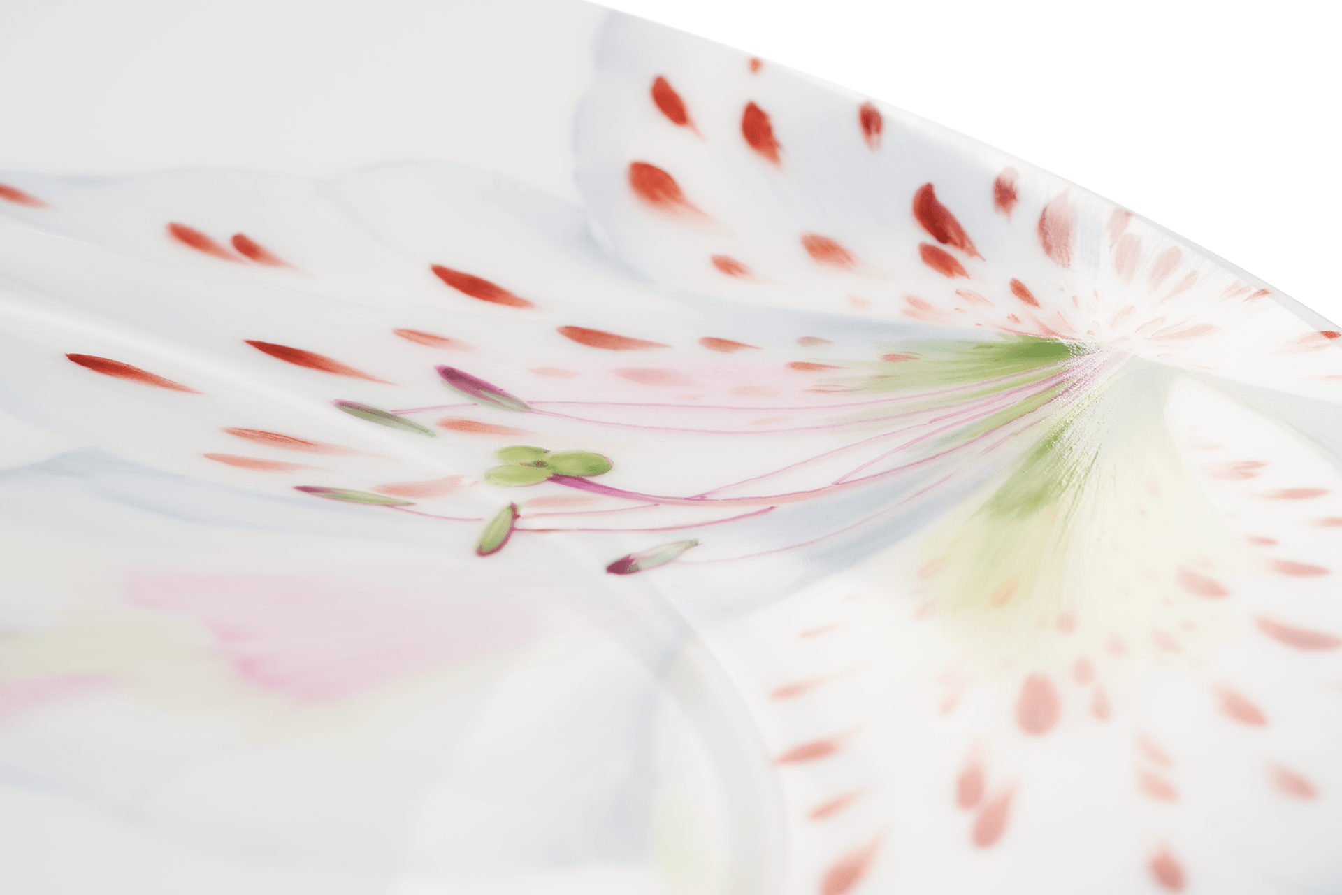 Speiseteller, klein, "Giant Bloom", Tigerlilie, Ø 24 cm | Meissen Cosmopolitan 61a159 - 37475 - Meissen Weimar