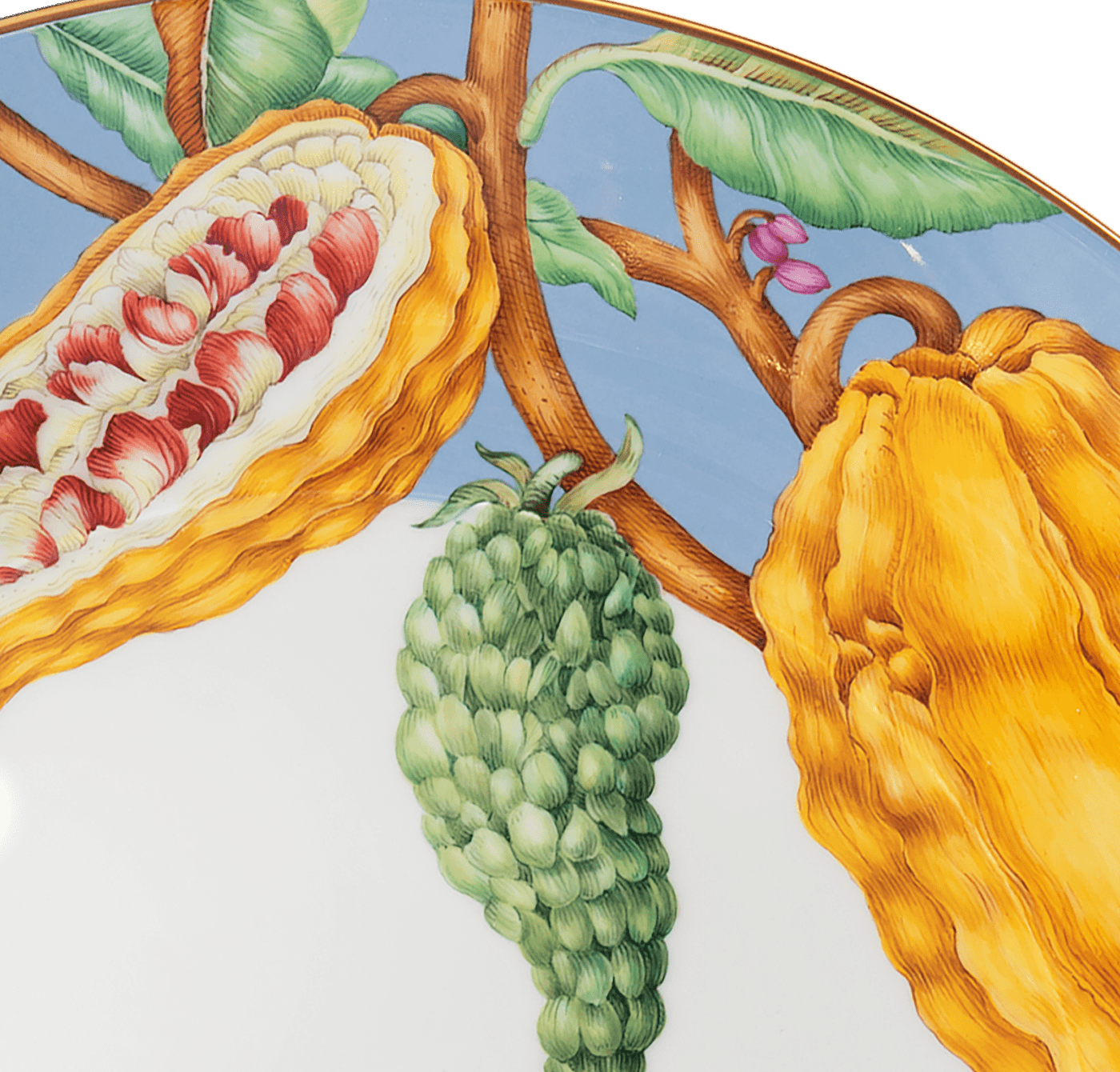 Starter - Set Cosmopolitan Sweet Exotics, 12 - Teilig | Meissen Cosmopolitan 20a126 - c3730 - Meissen Weimar