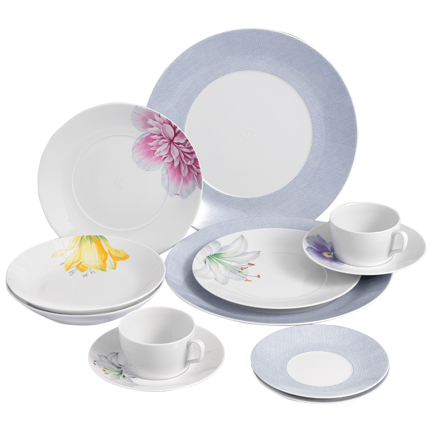 Starter - Set, Giant Bloom & Mesh Blau, 12 - teilig | Meissen Cosmopolitan 61k003 - c3727 - Meissen Weimar