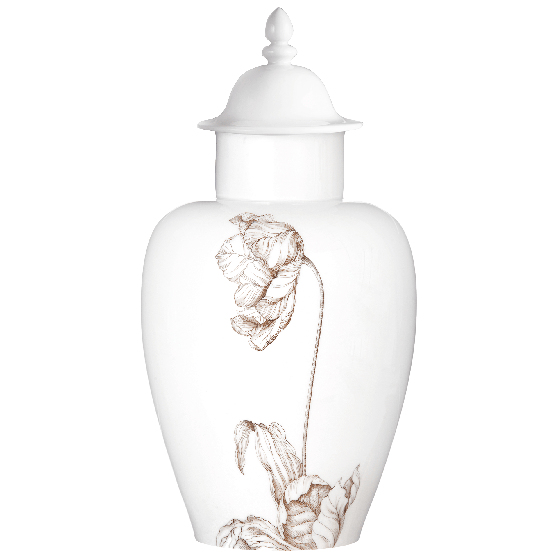 Vase Tulpe sepia, Höhe 33 cm | Meissen Vasen Kollektion 20a174 - 51085 - Meissen Weimar