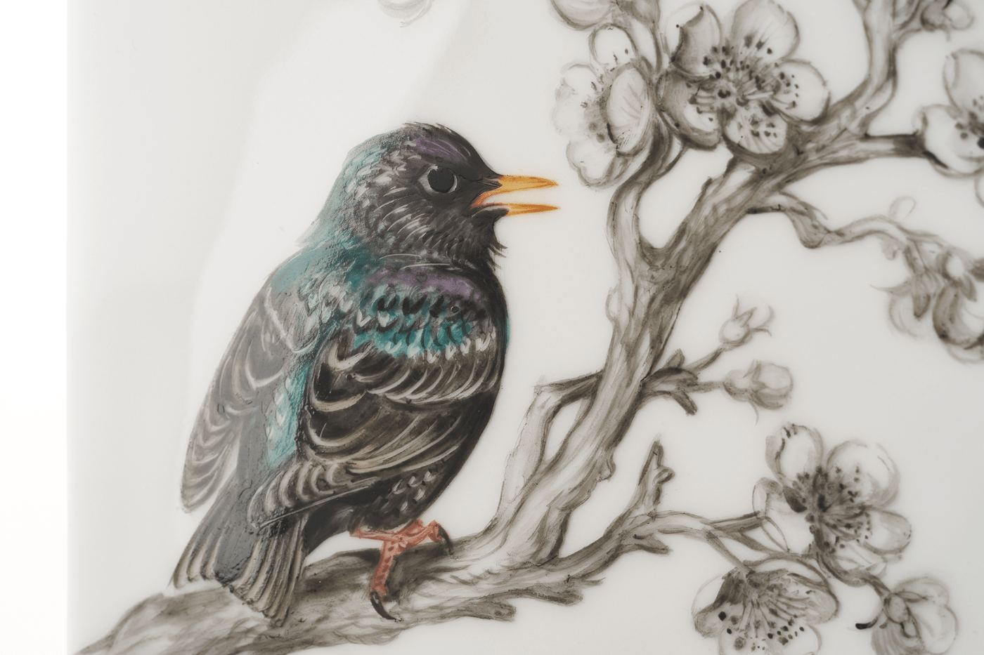 Vase, Vogelmalerei Star auf Zweig, H 13 cm | Meissen Cosmopolitan 26c025 - 50192 - Meissen Weimar